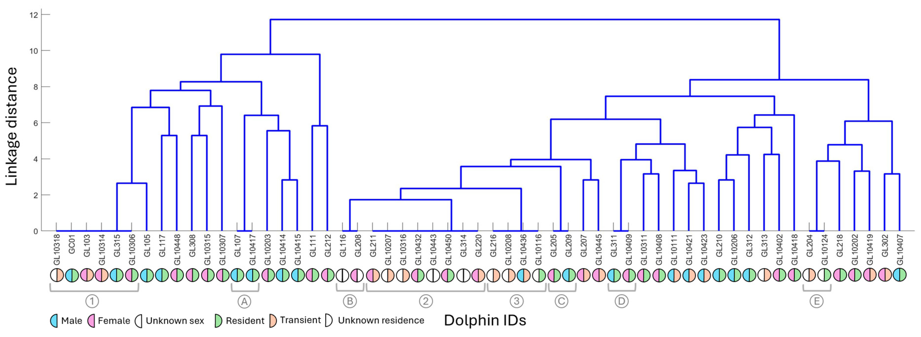 Animals 15 03259 g004