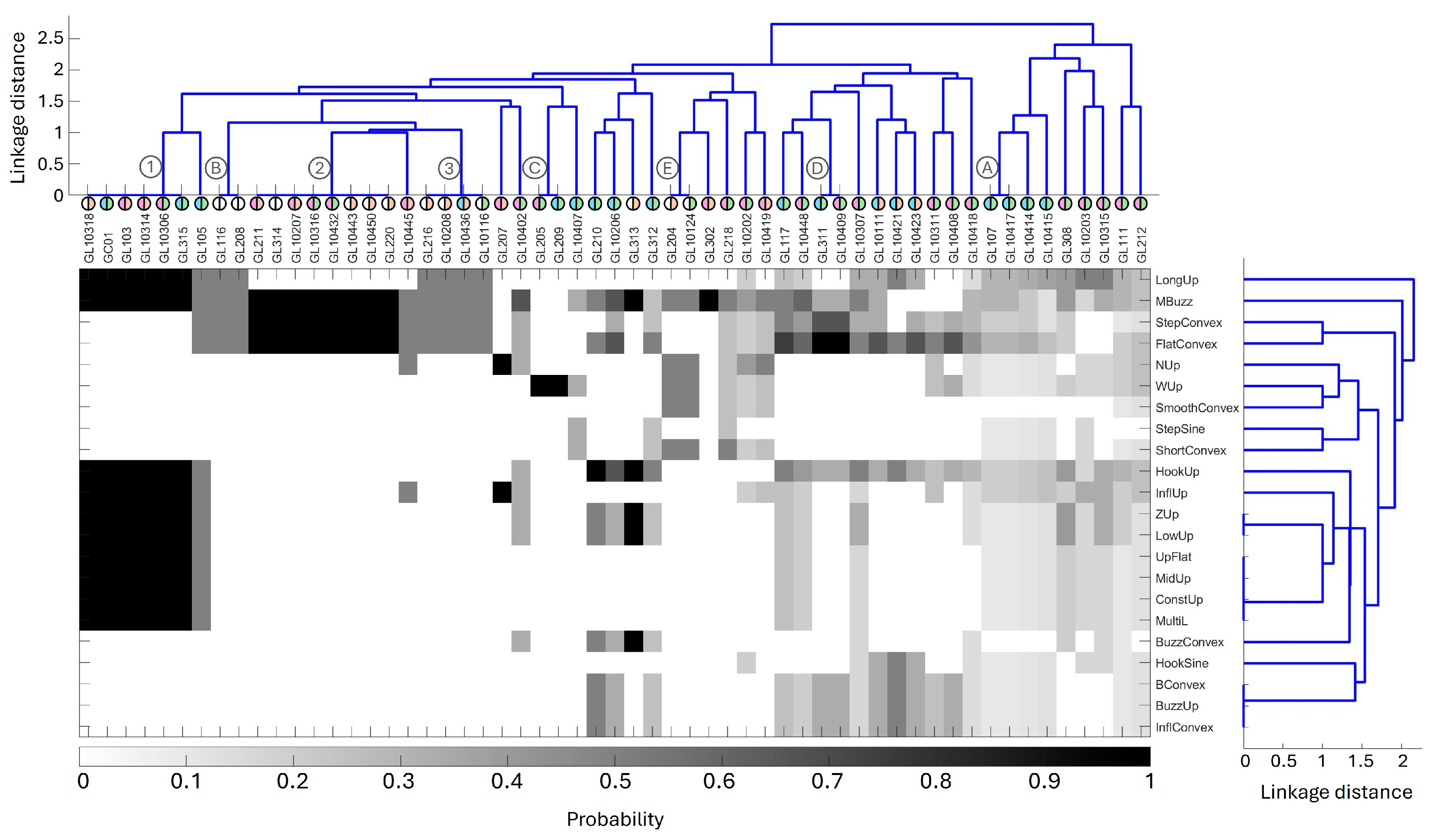 Animals 15 03259 g007