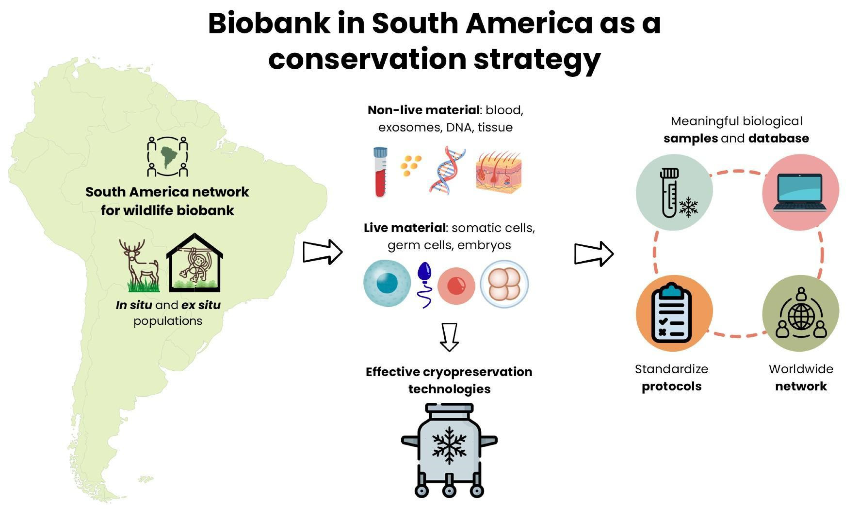 Animals 15 03261 g001