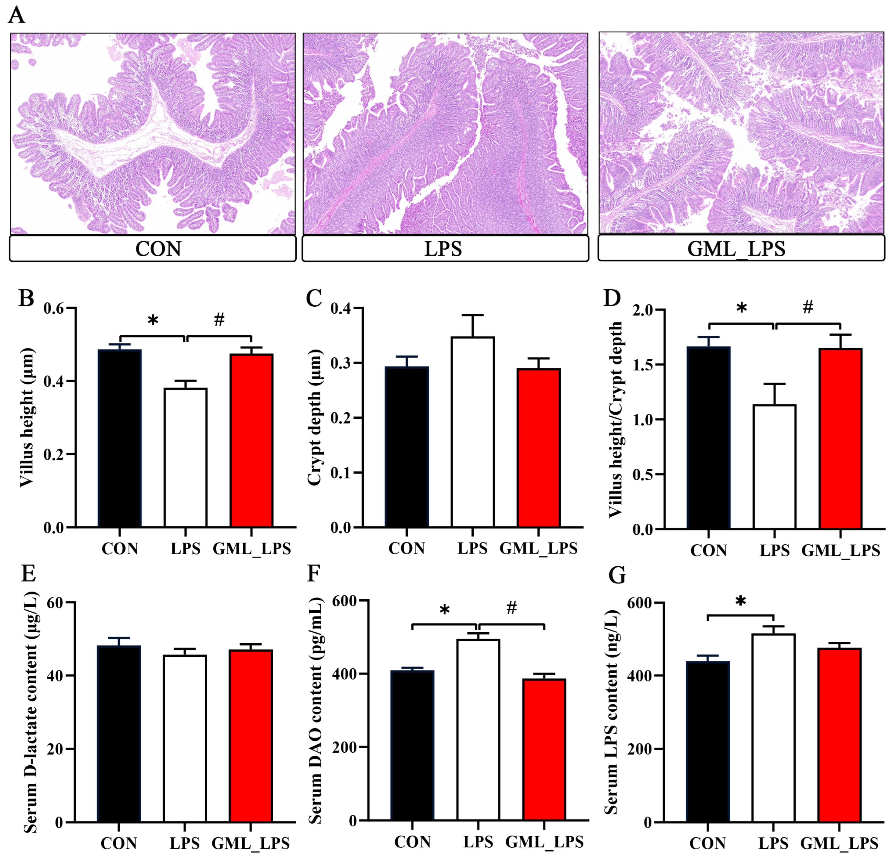 Animals 15 03263 g001