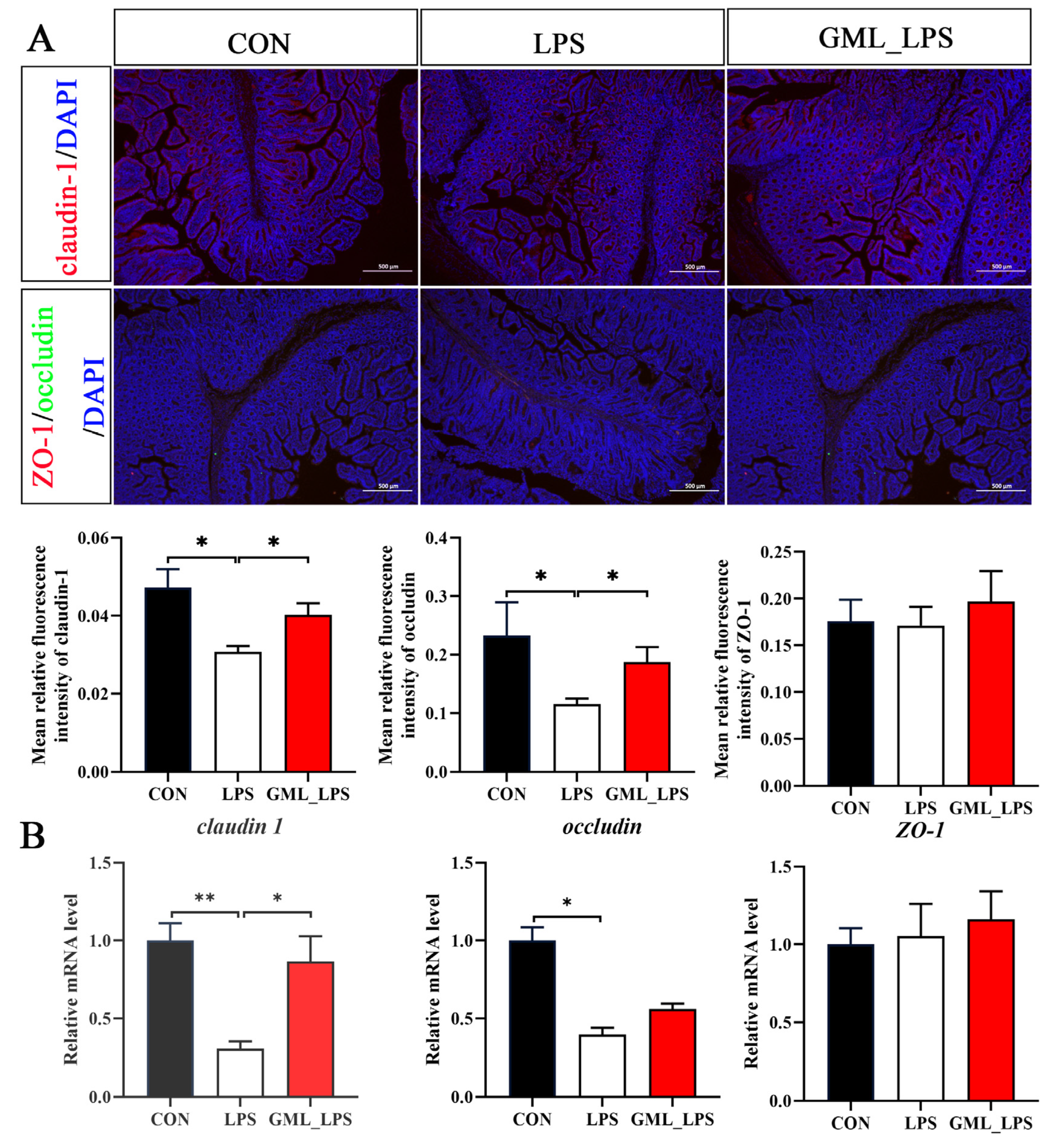 Animals 15 03263 g002