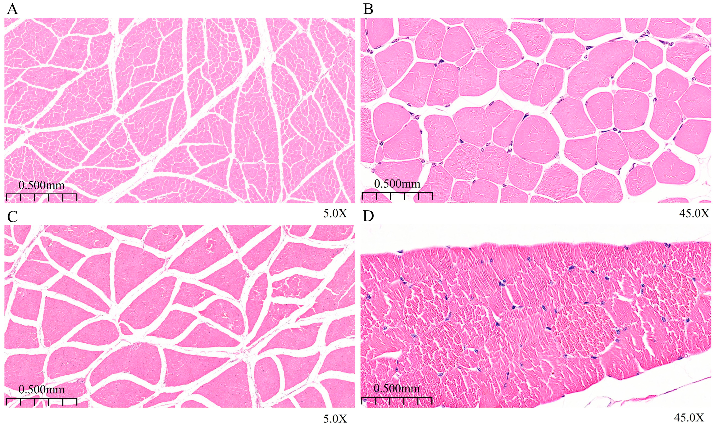 Animals 15 03265 g001