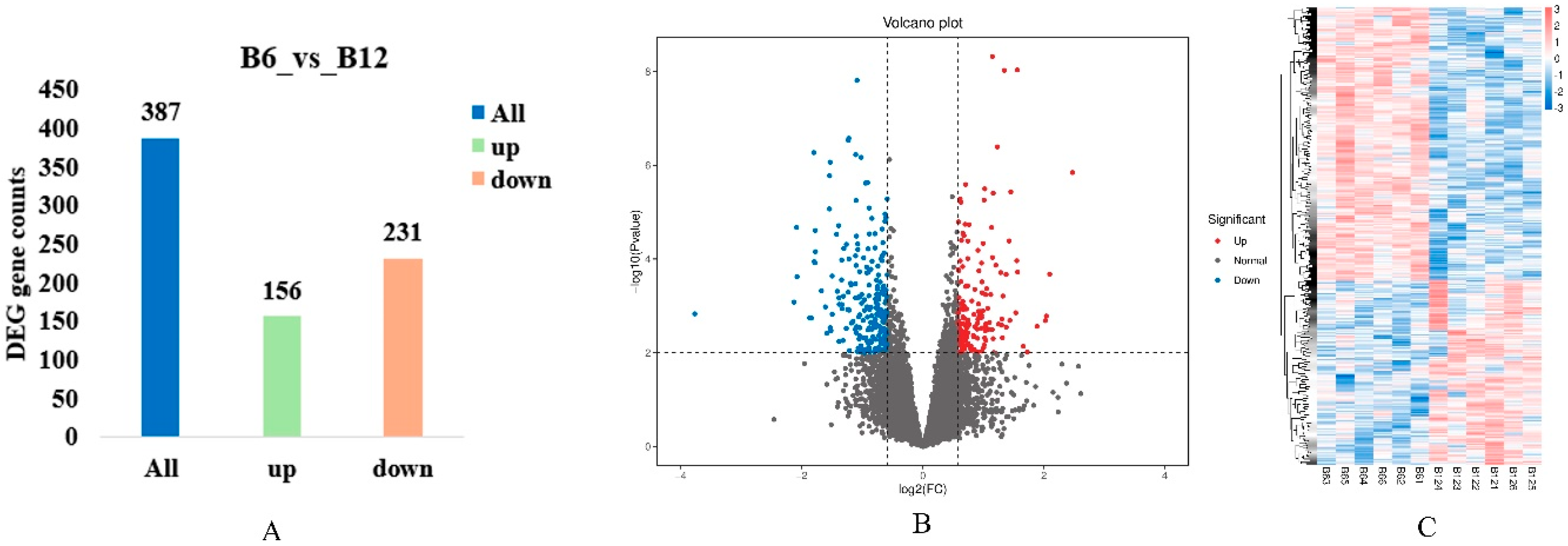 Animals 15 03265 g004