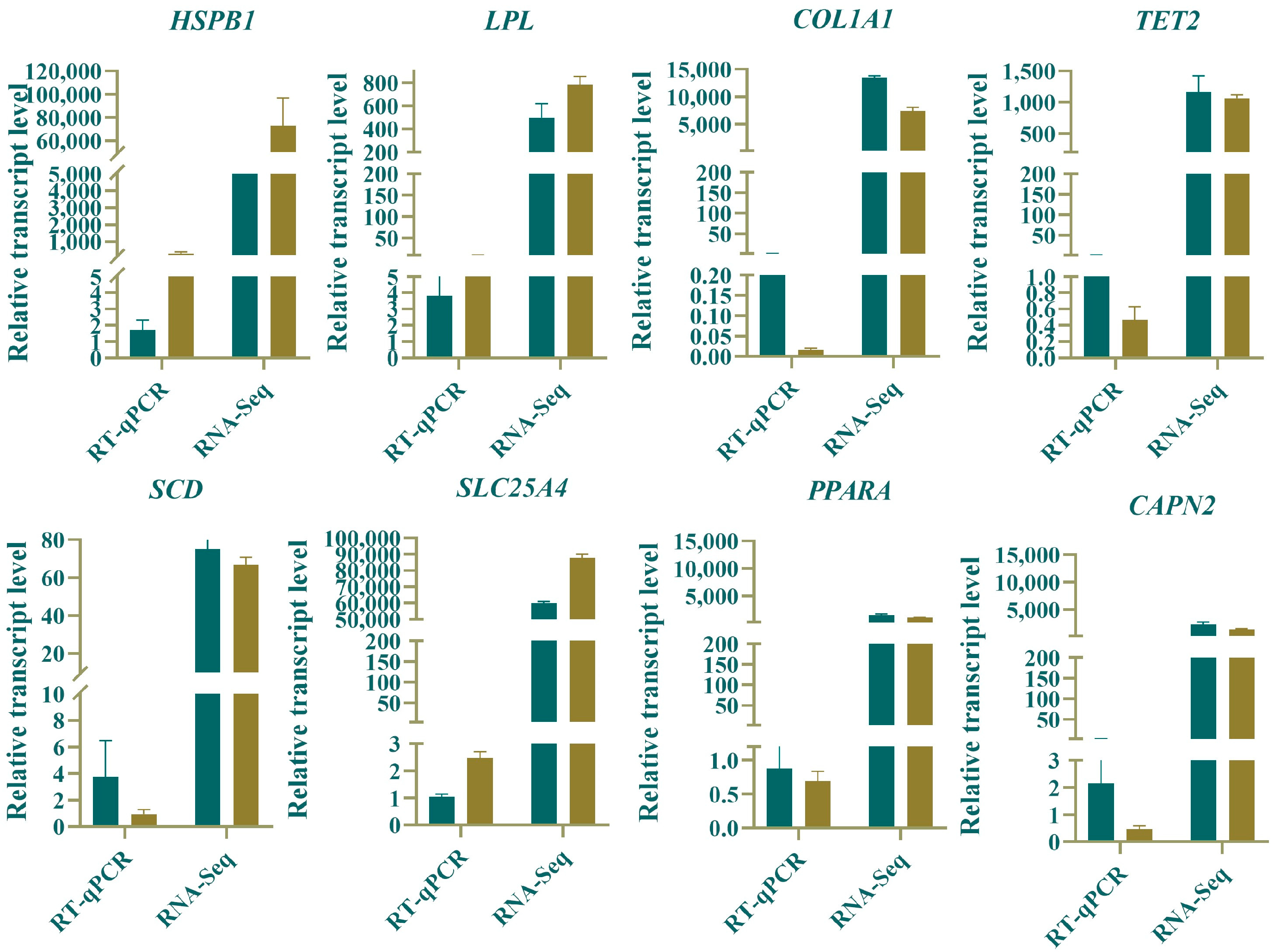 Animals 15 03265 g008