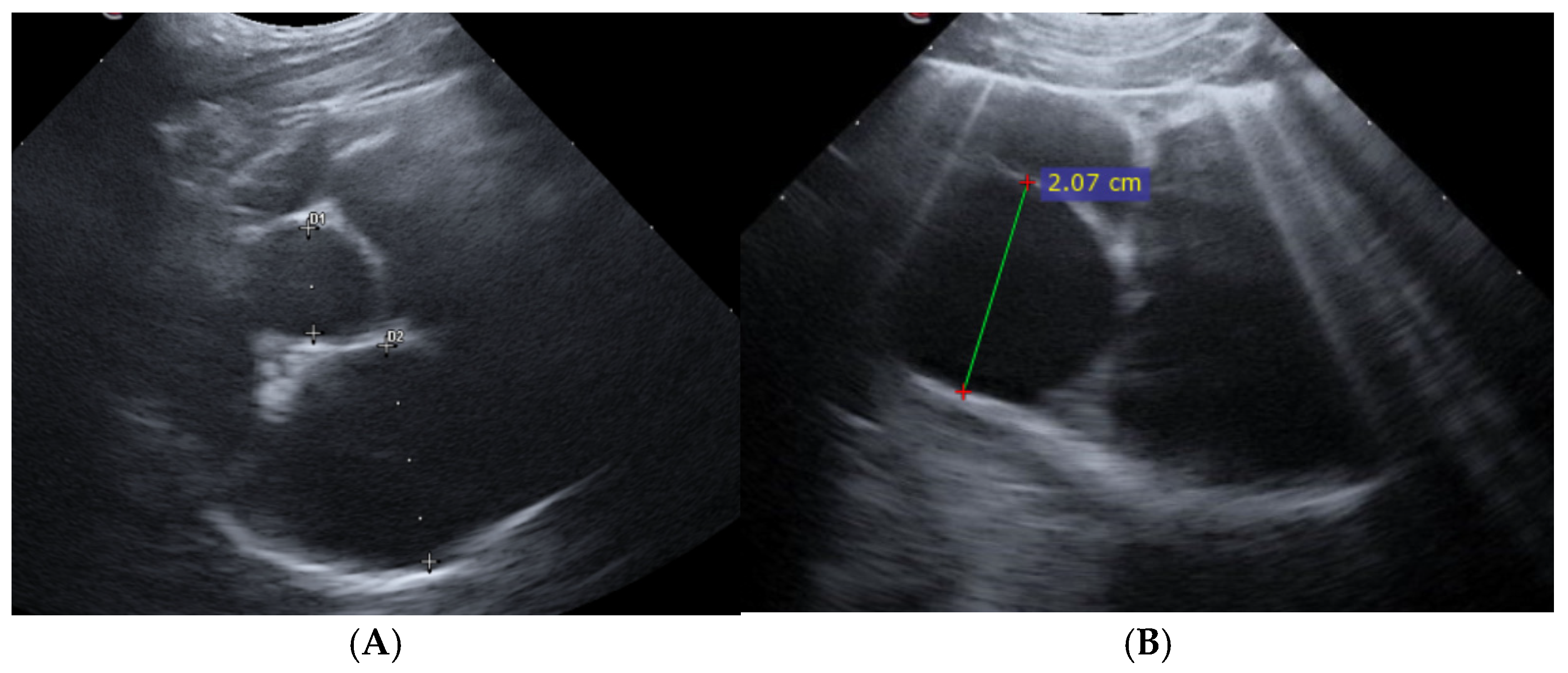 Animals 15 03267 g001