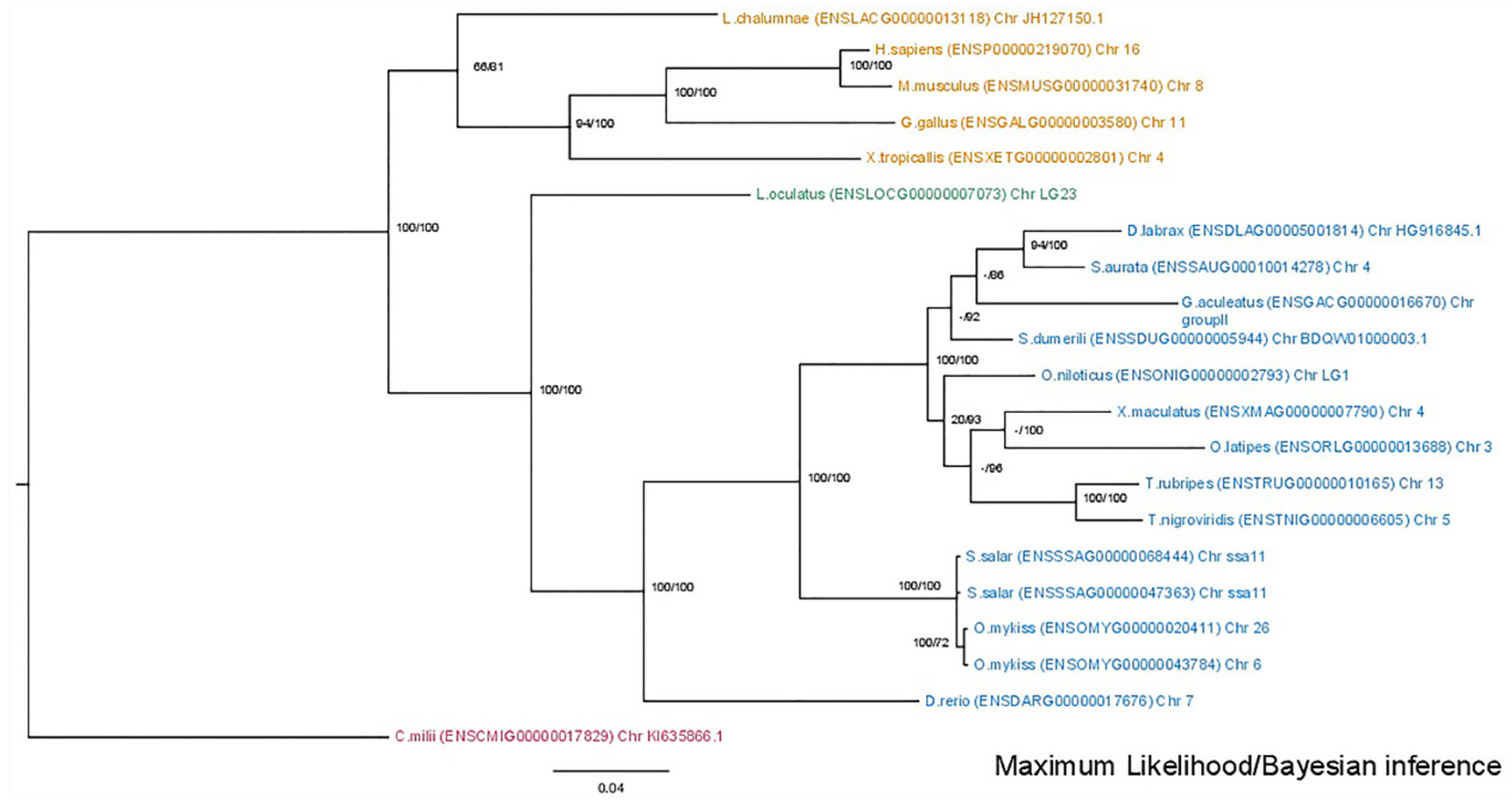 Animals 15 03270 g002
