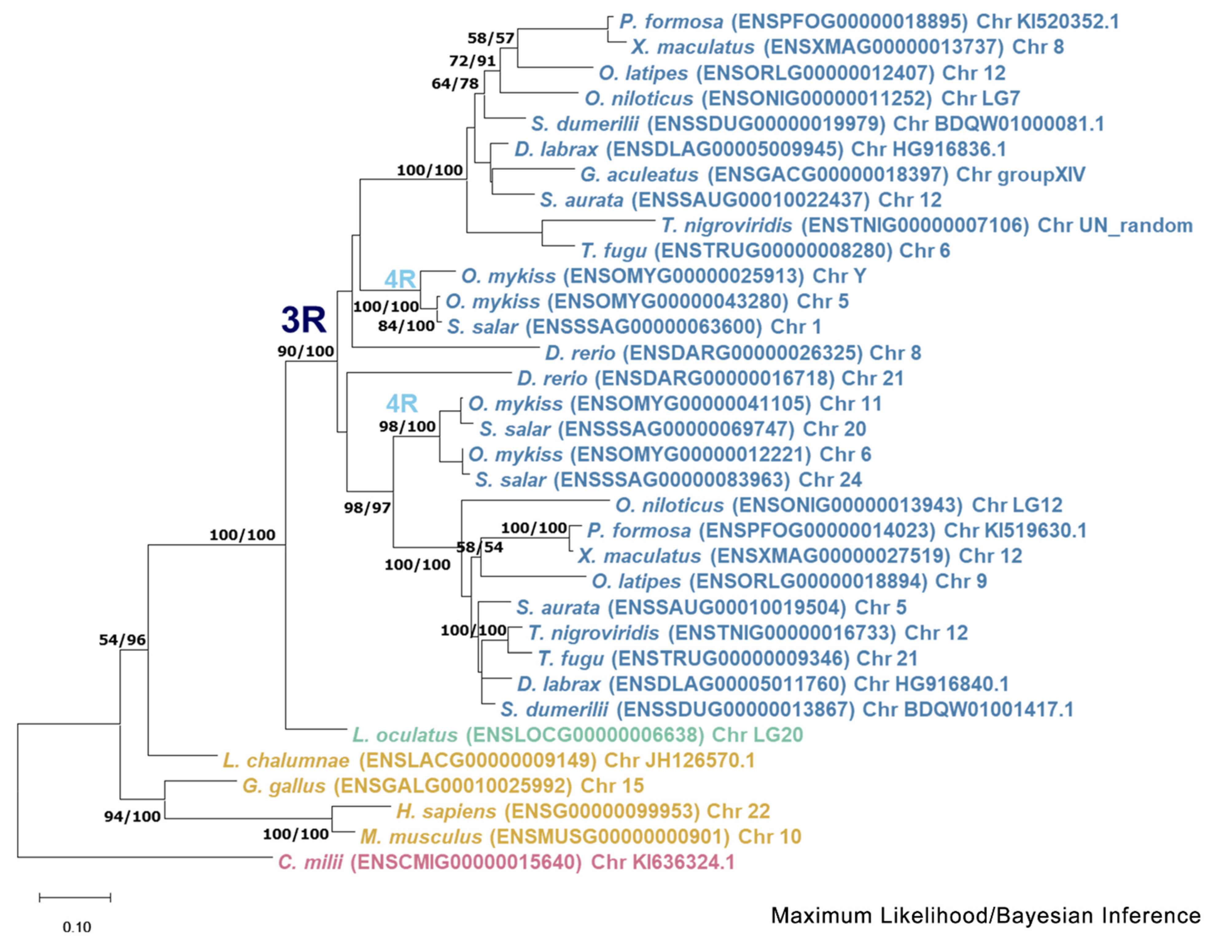 Animals 15 03270 g004