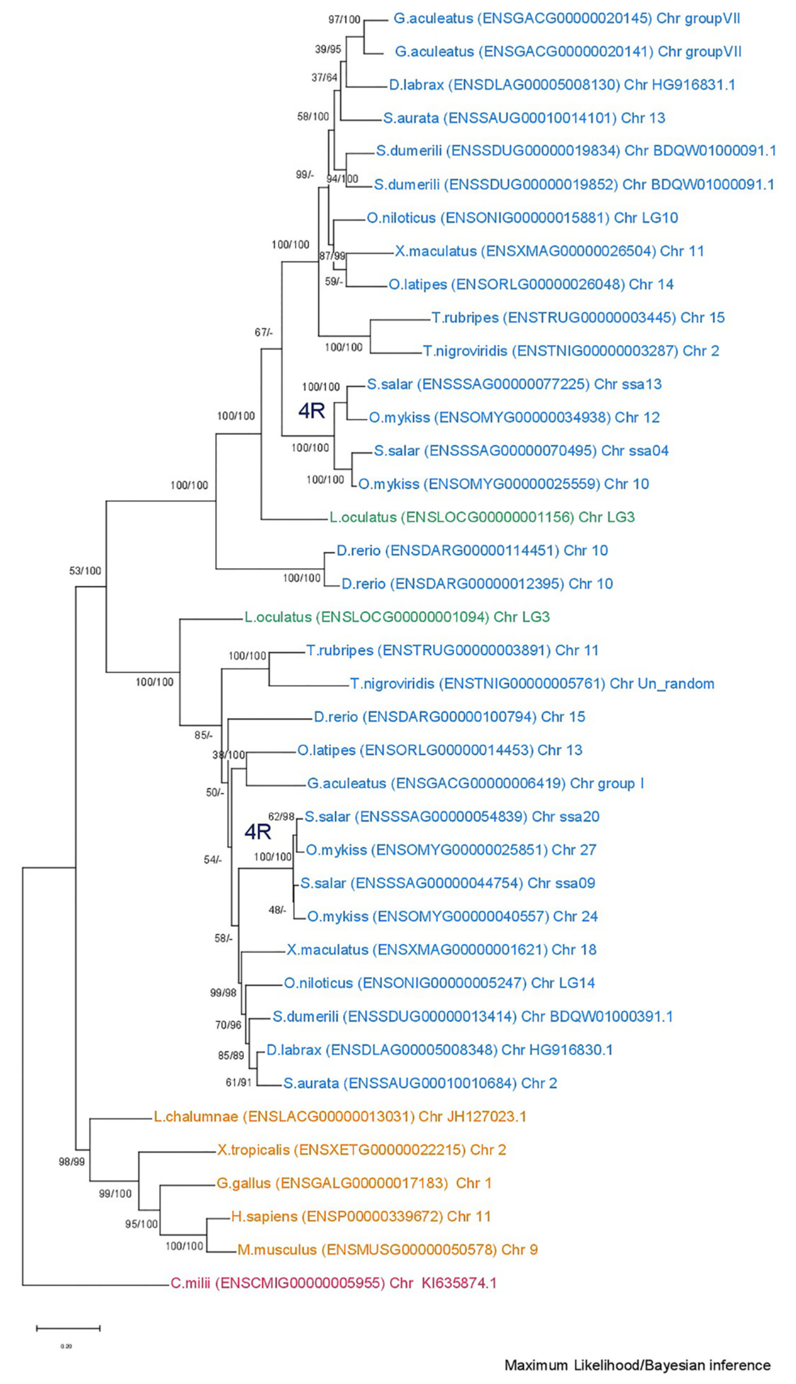 Animals 15 03270 g005