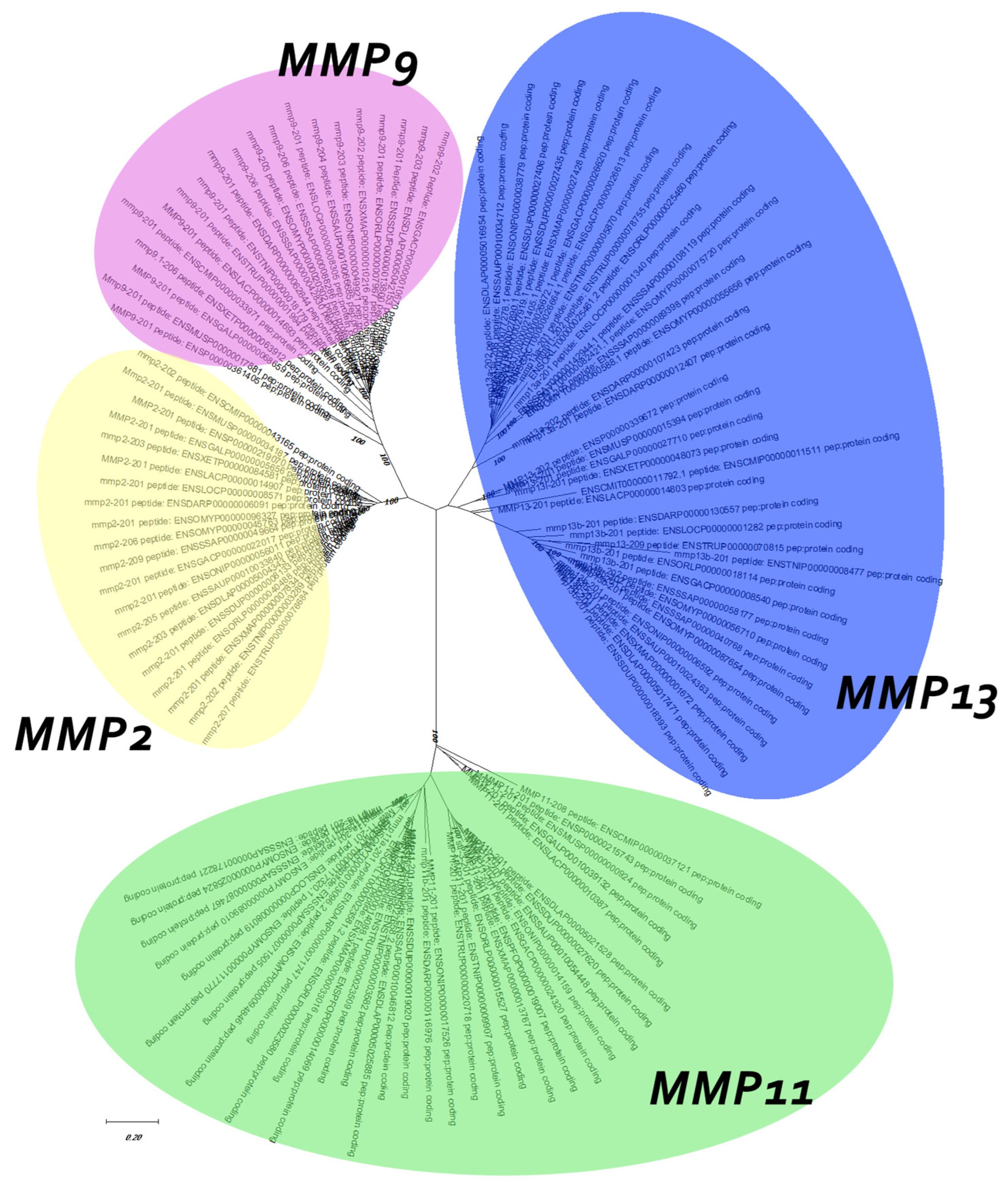 Animals 15 03270 g006