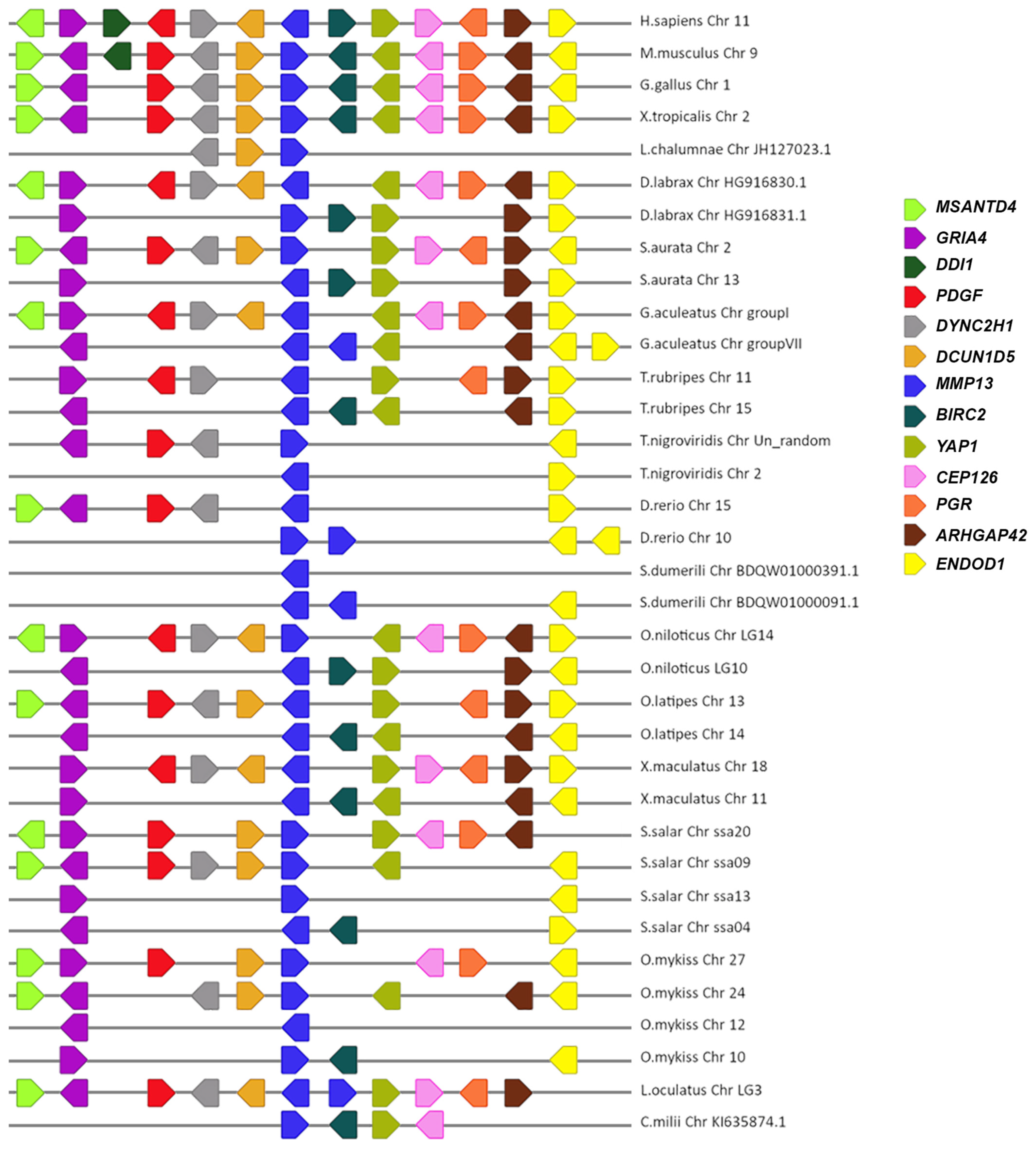 Animals 15 03270 g007