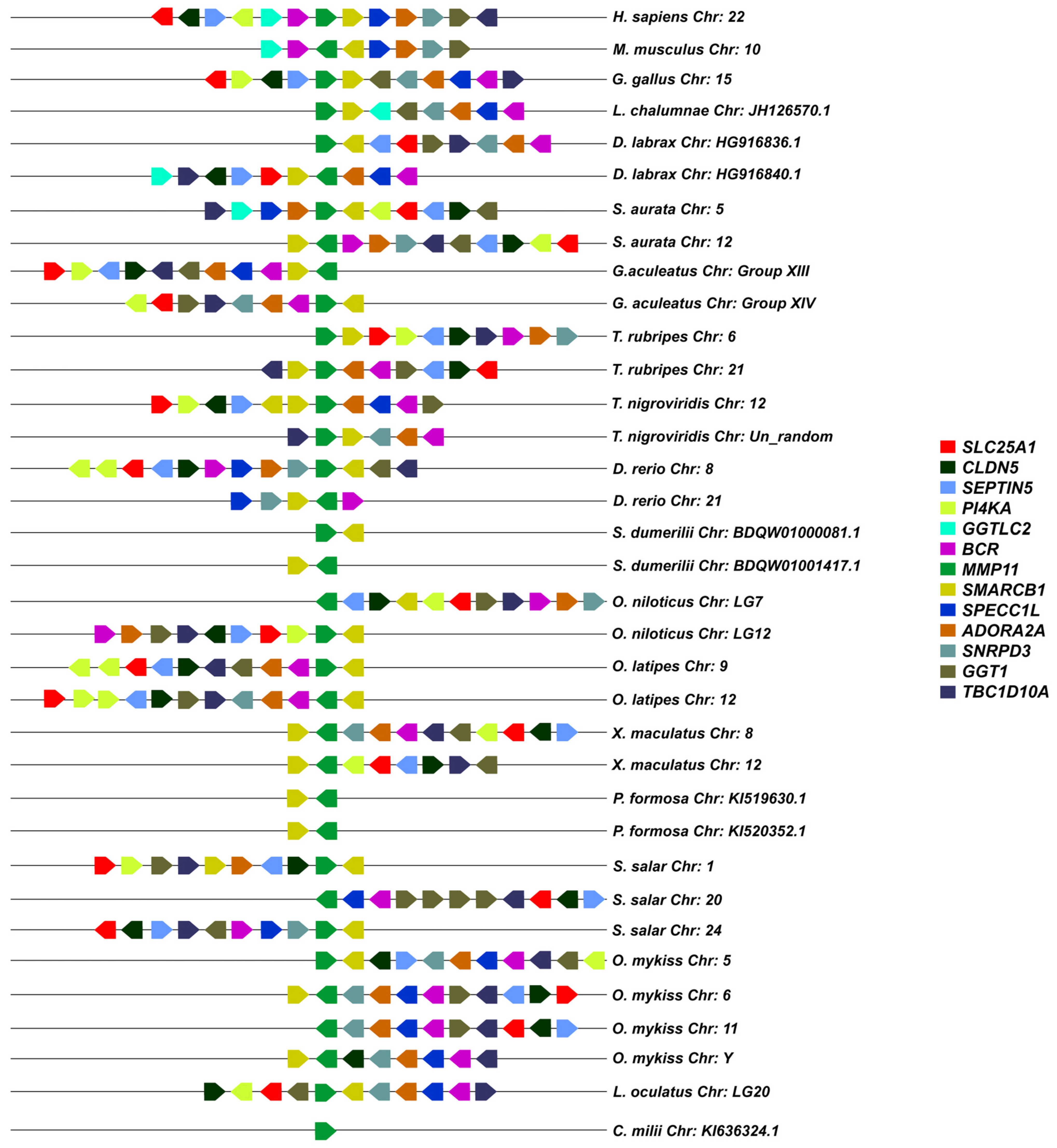 Animals 15 03270 g008