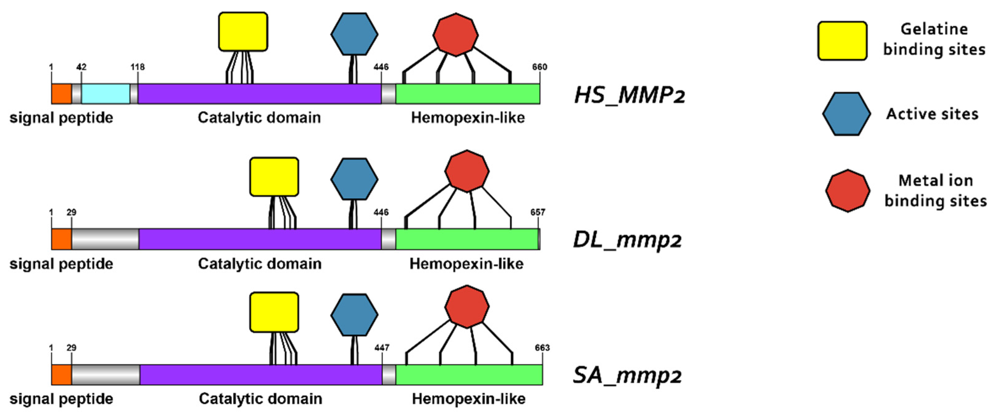 Animals 15 03270 g009