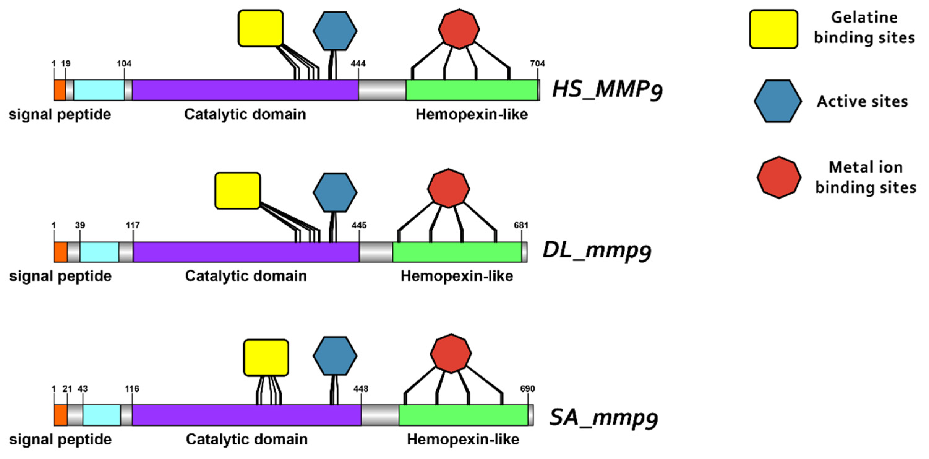 Animals 15 03270 g010