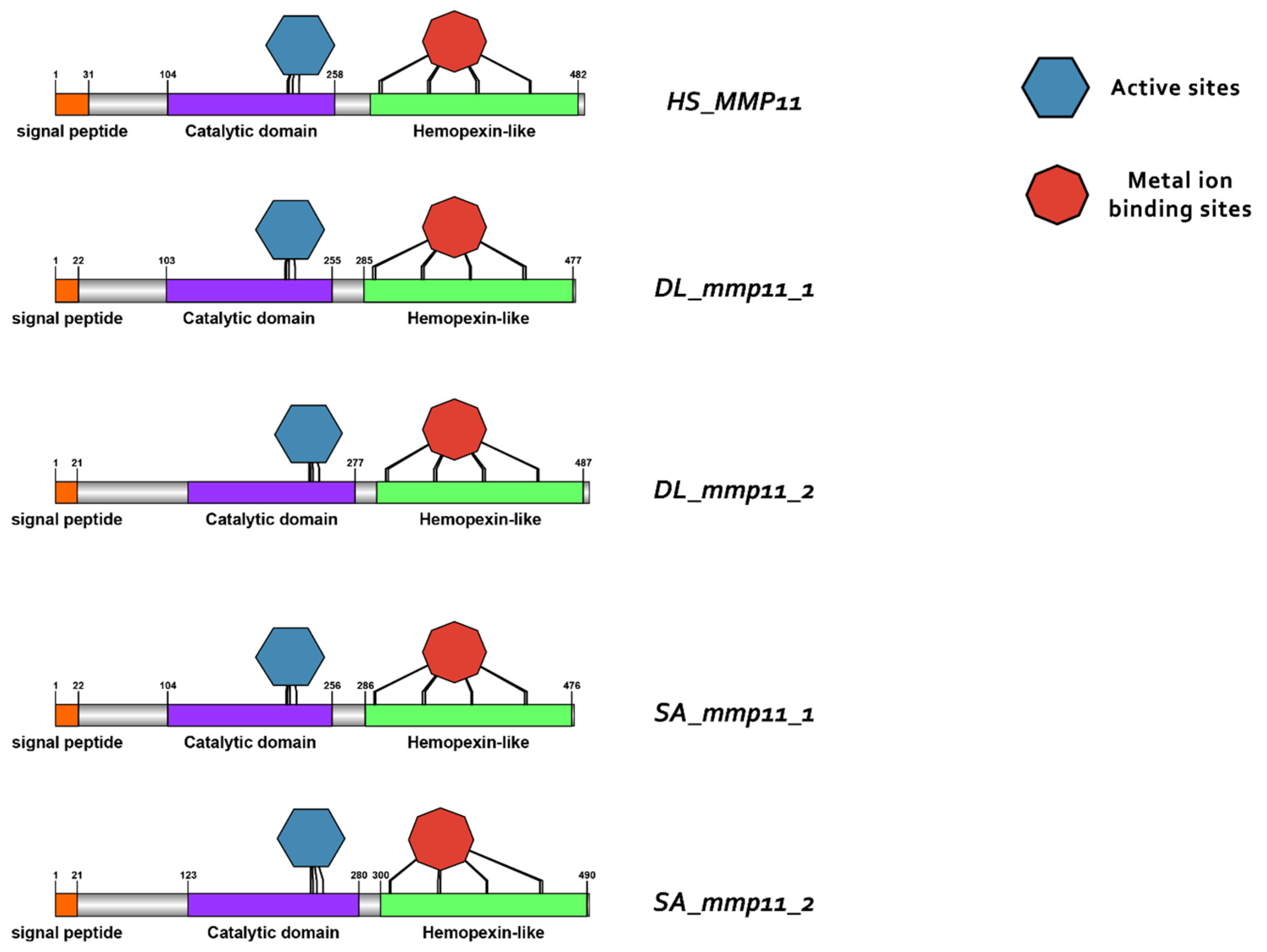Animals 15 03270 g011