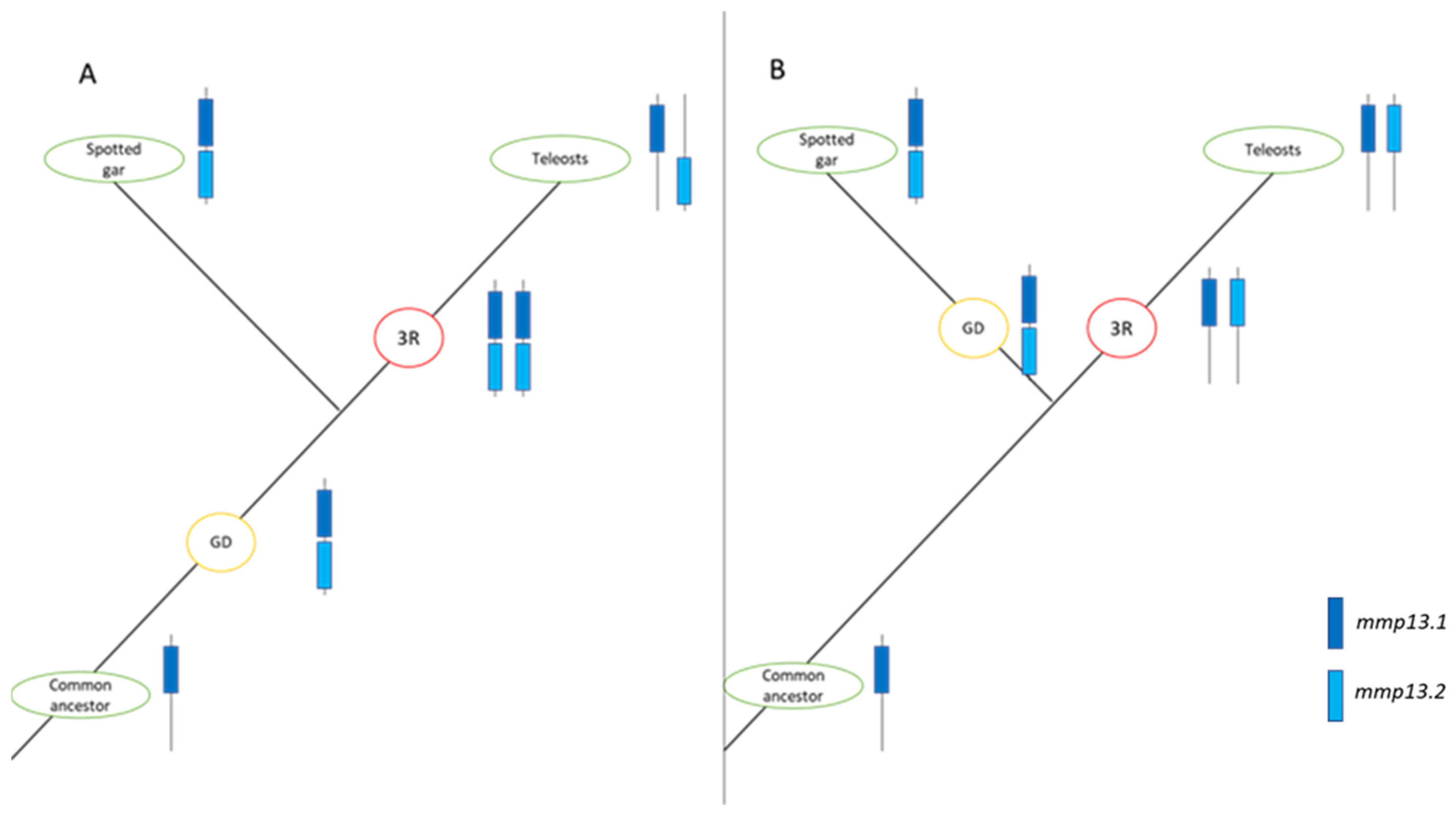 Animals 15 03270 g018