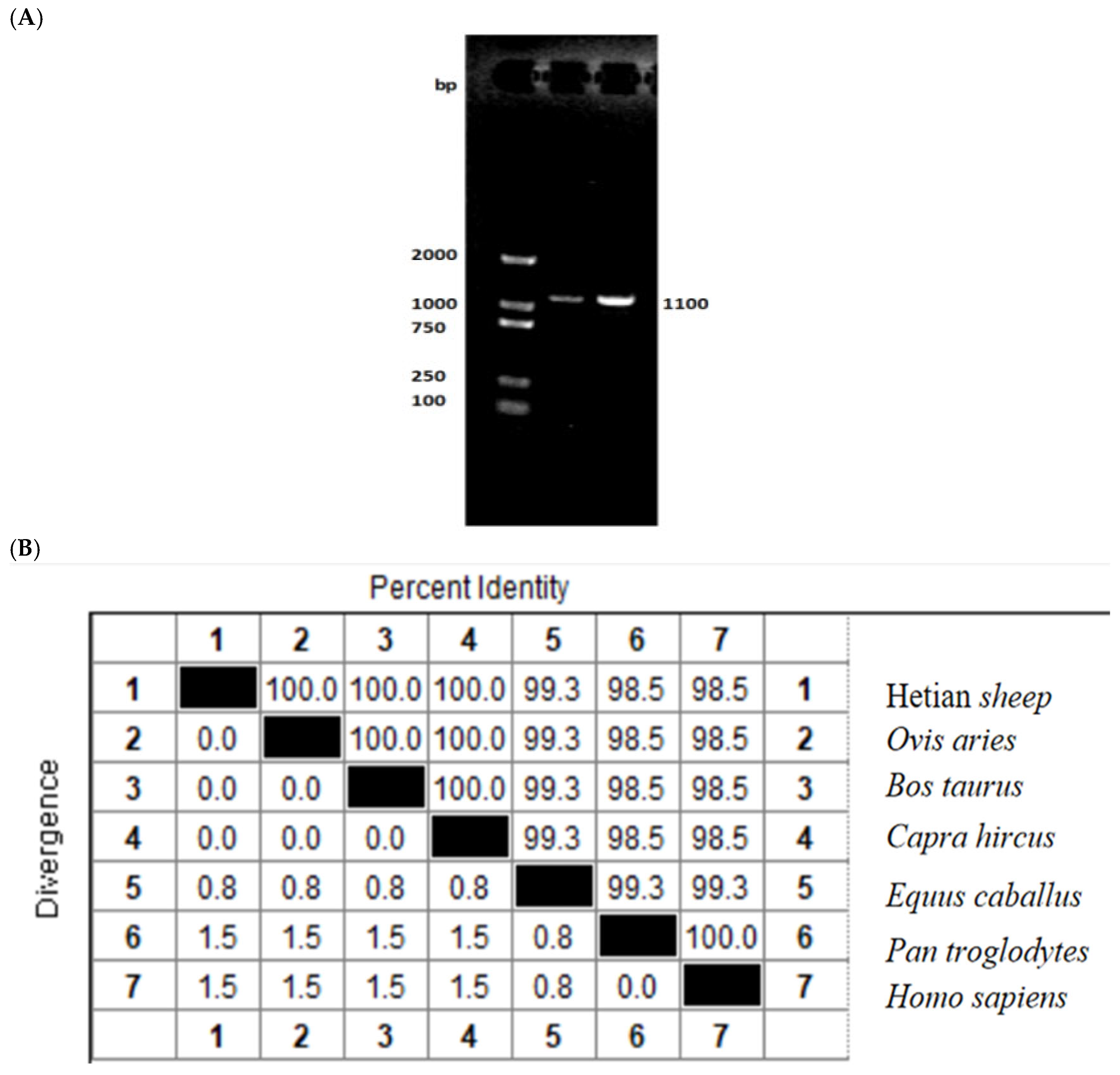 Animals 15 03271 g001a