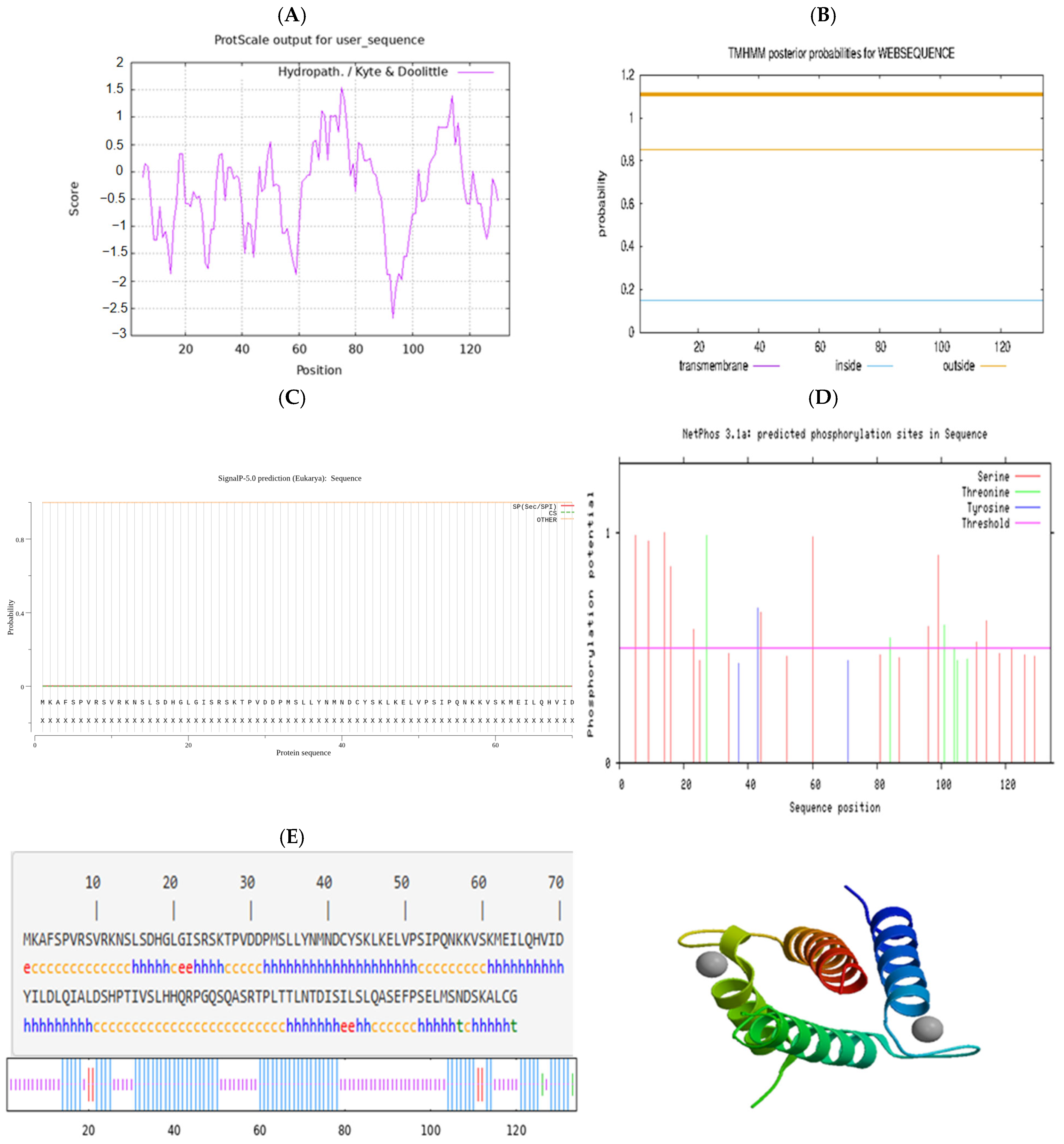 Animals 15 03271 g002