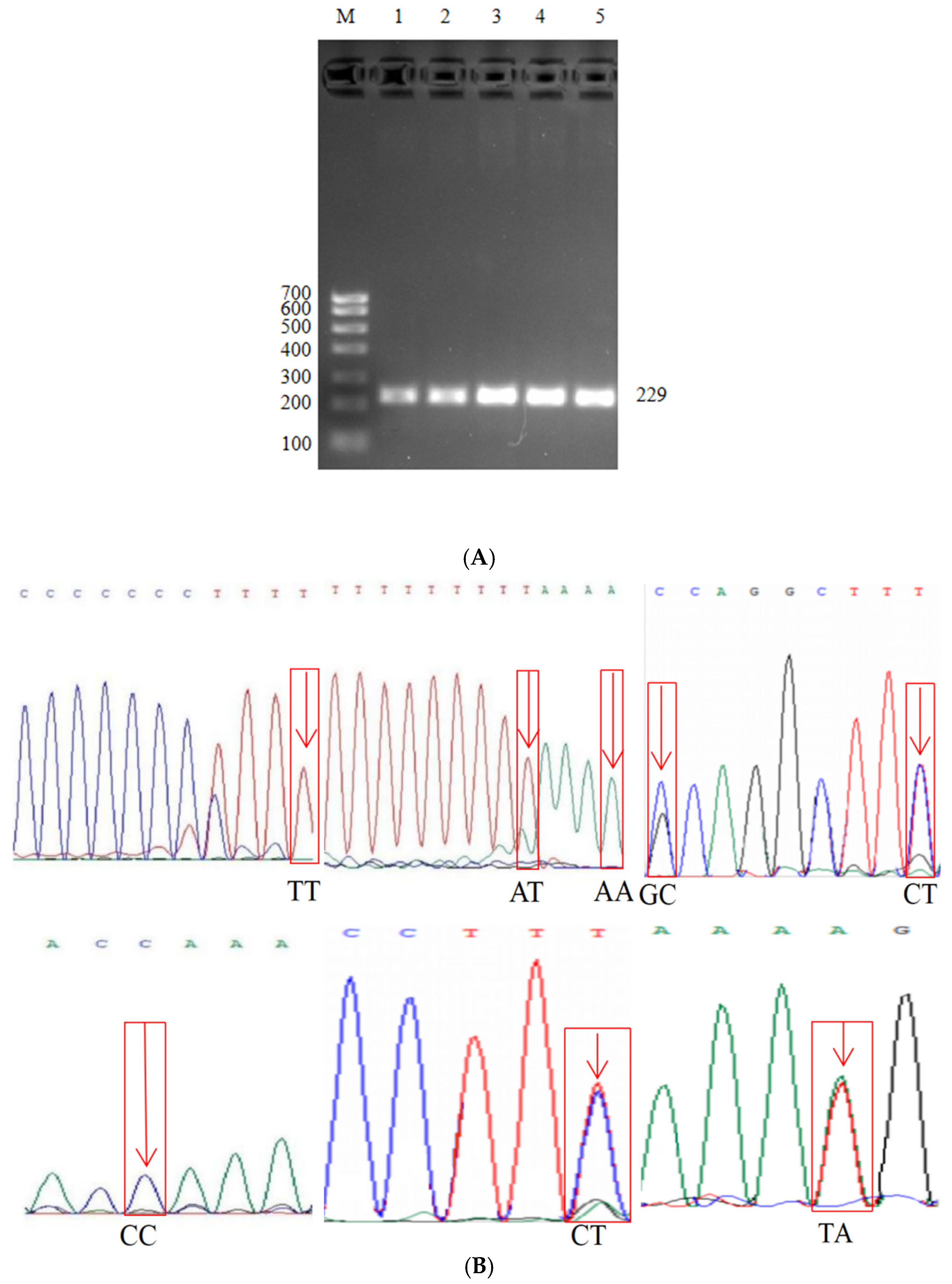 Animals 15 03271 g004