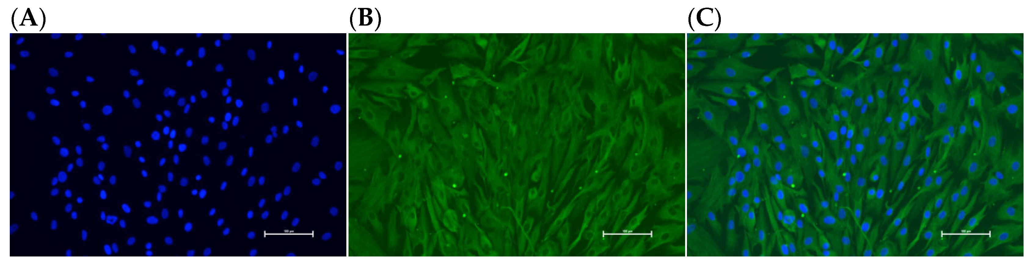 Animals 15 03271 g006