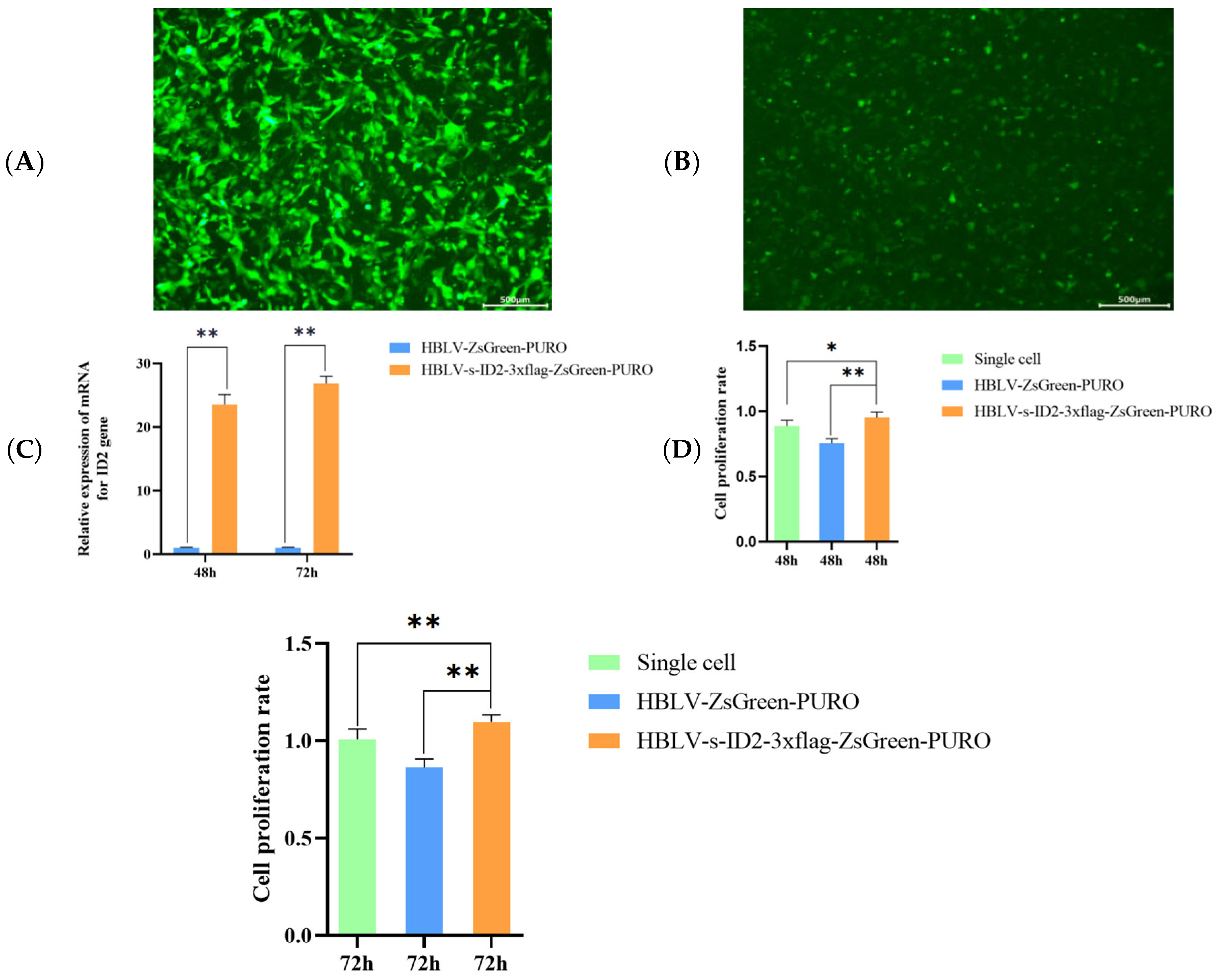 Animals 15 03271 g007