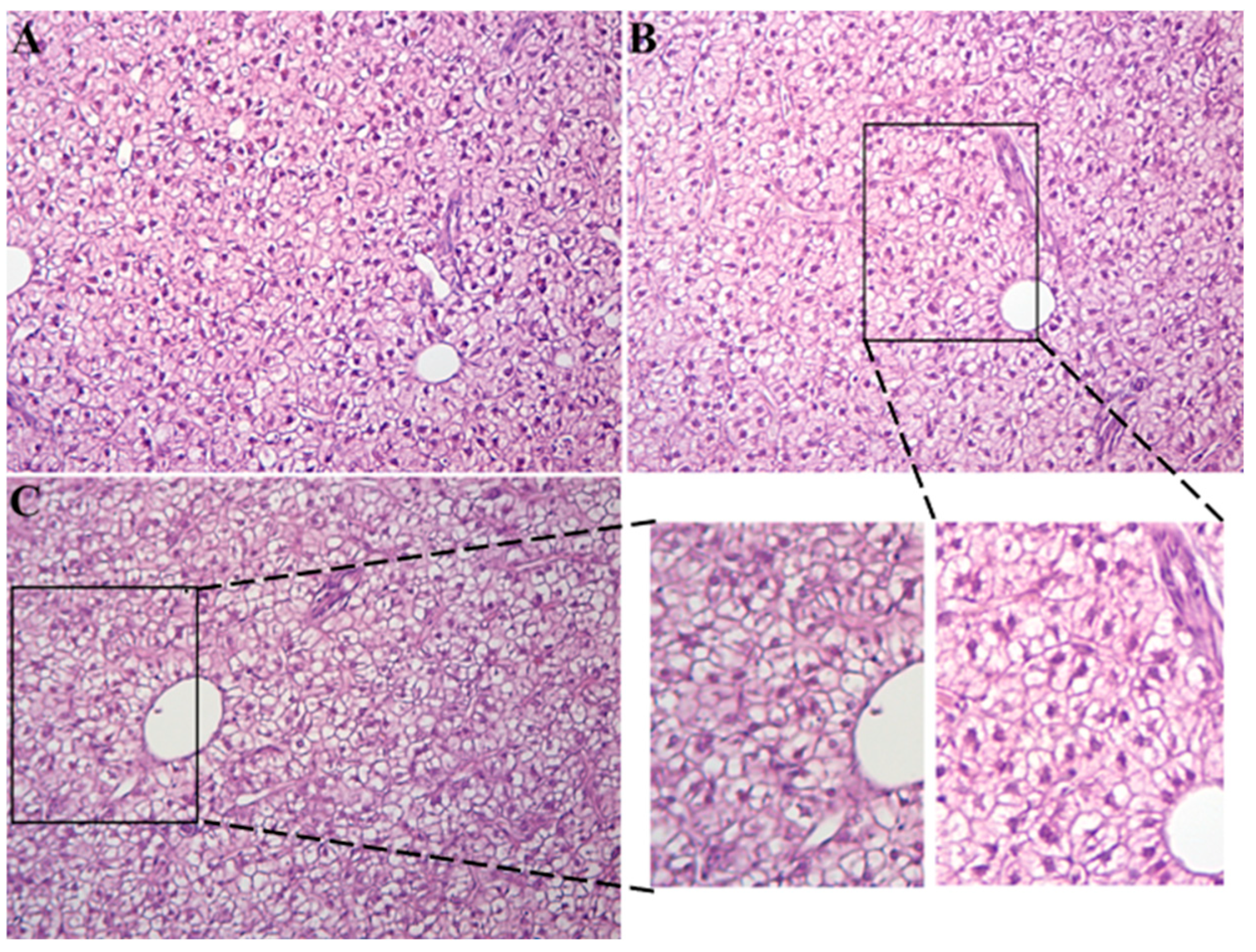 Animals 15 03272 g003 Animals 15 03272 g003