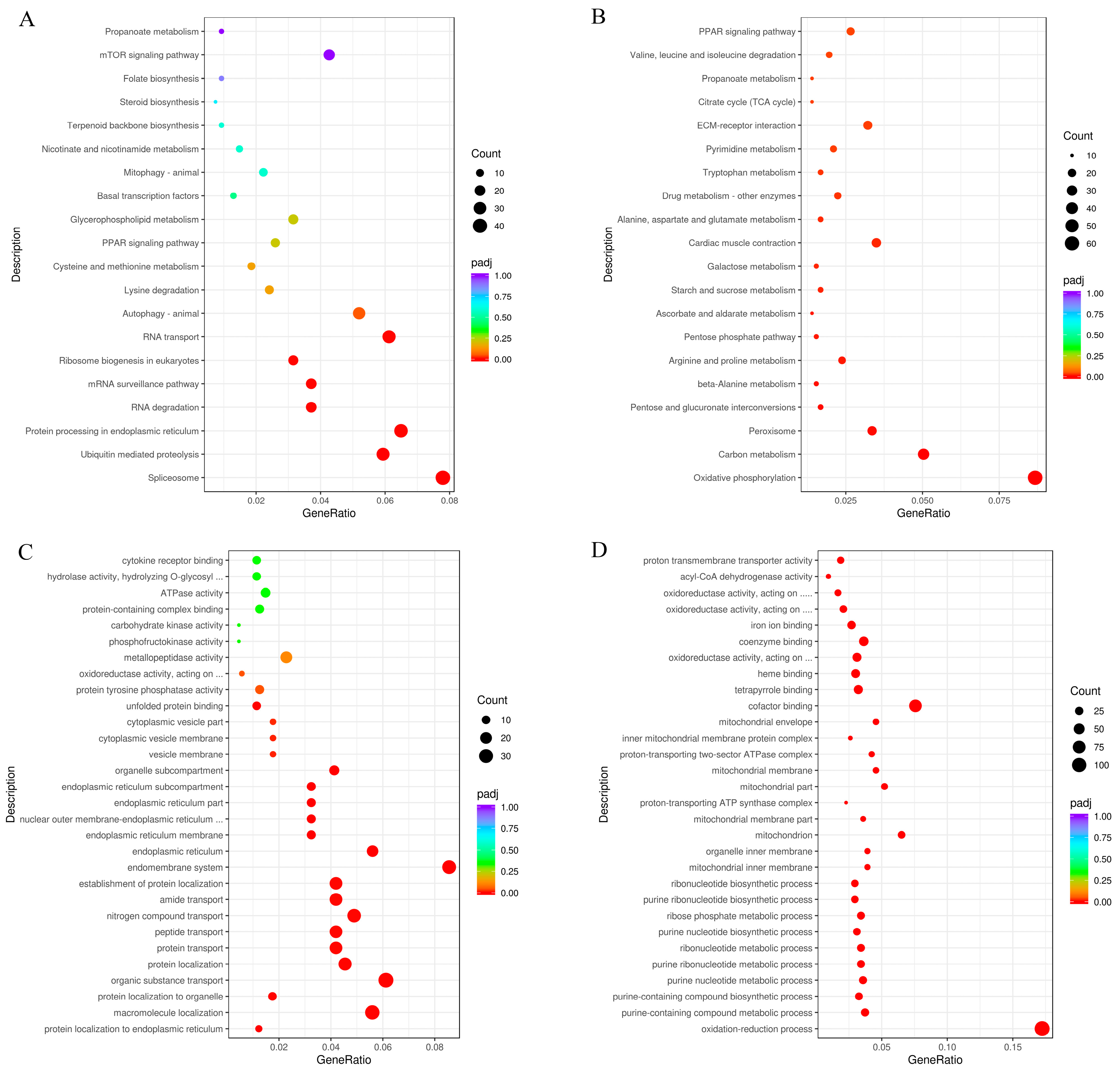 Animals 15 03272 g005 Animals 15 03272 g005
