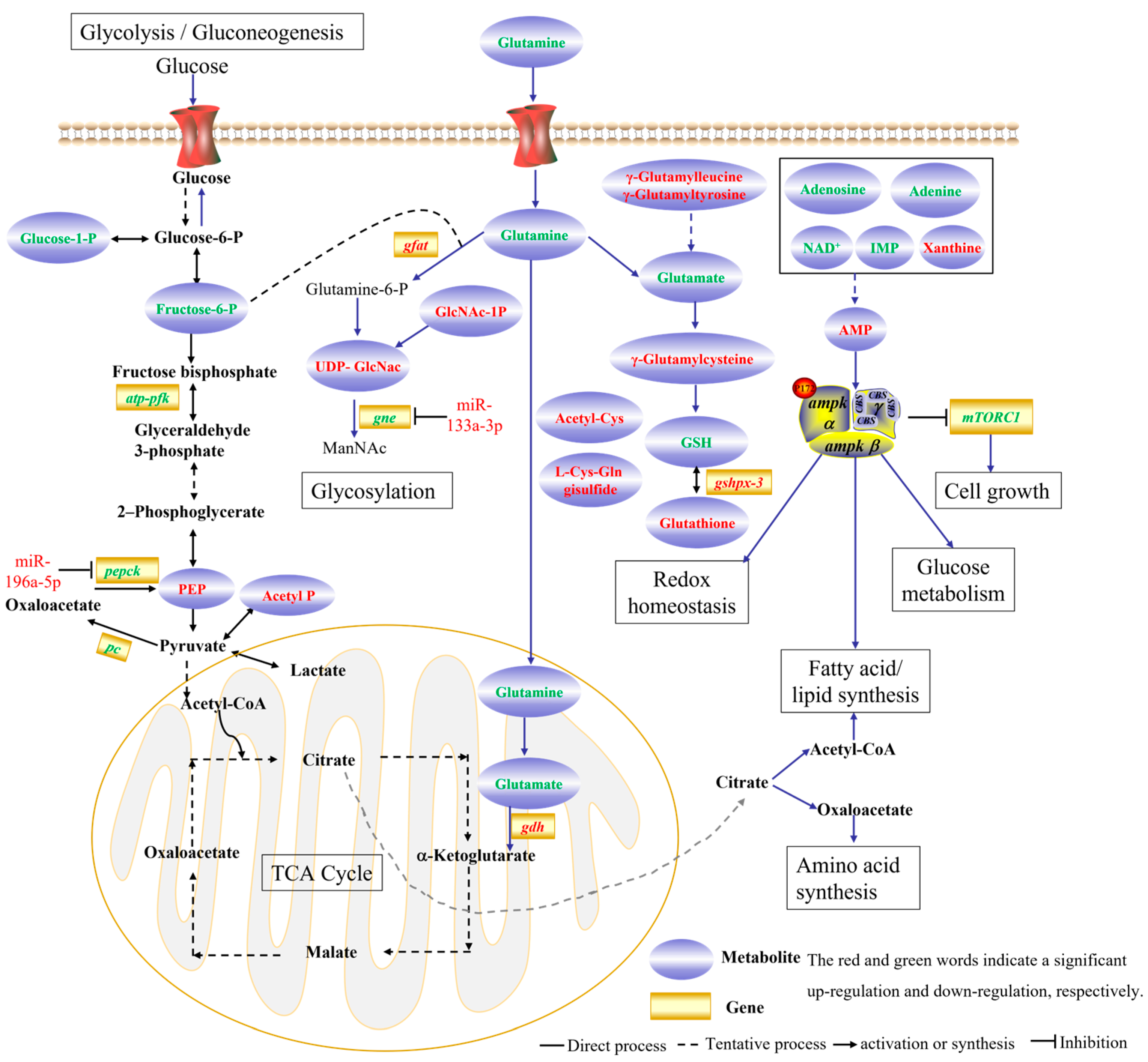 Animals 15 03272 g009 Animals 15 03272 g009