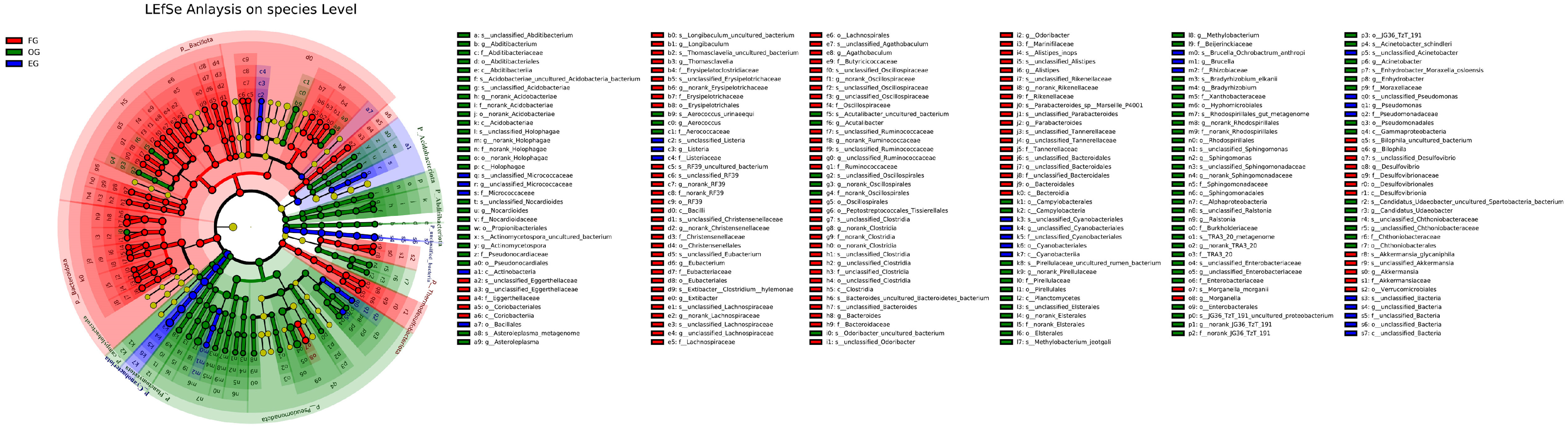 Animals 15 03273 g005 Animals 15 03273 g005