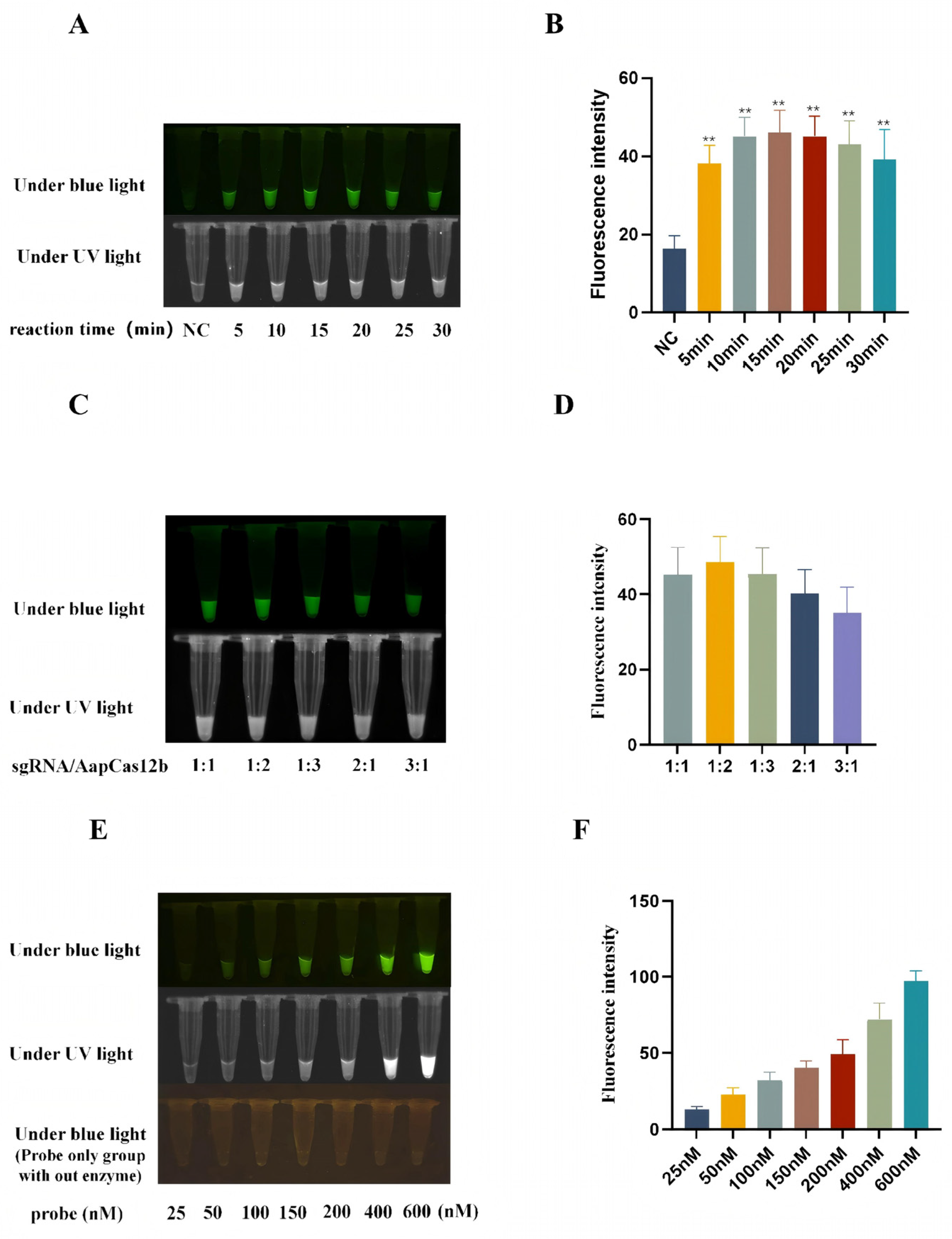 Animals 15 03274 g002