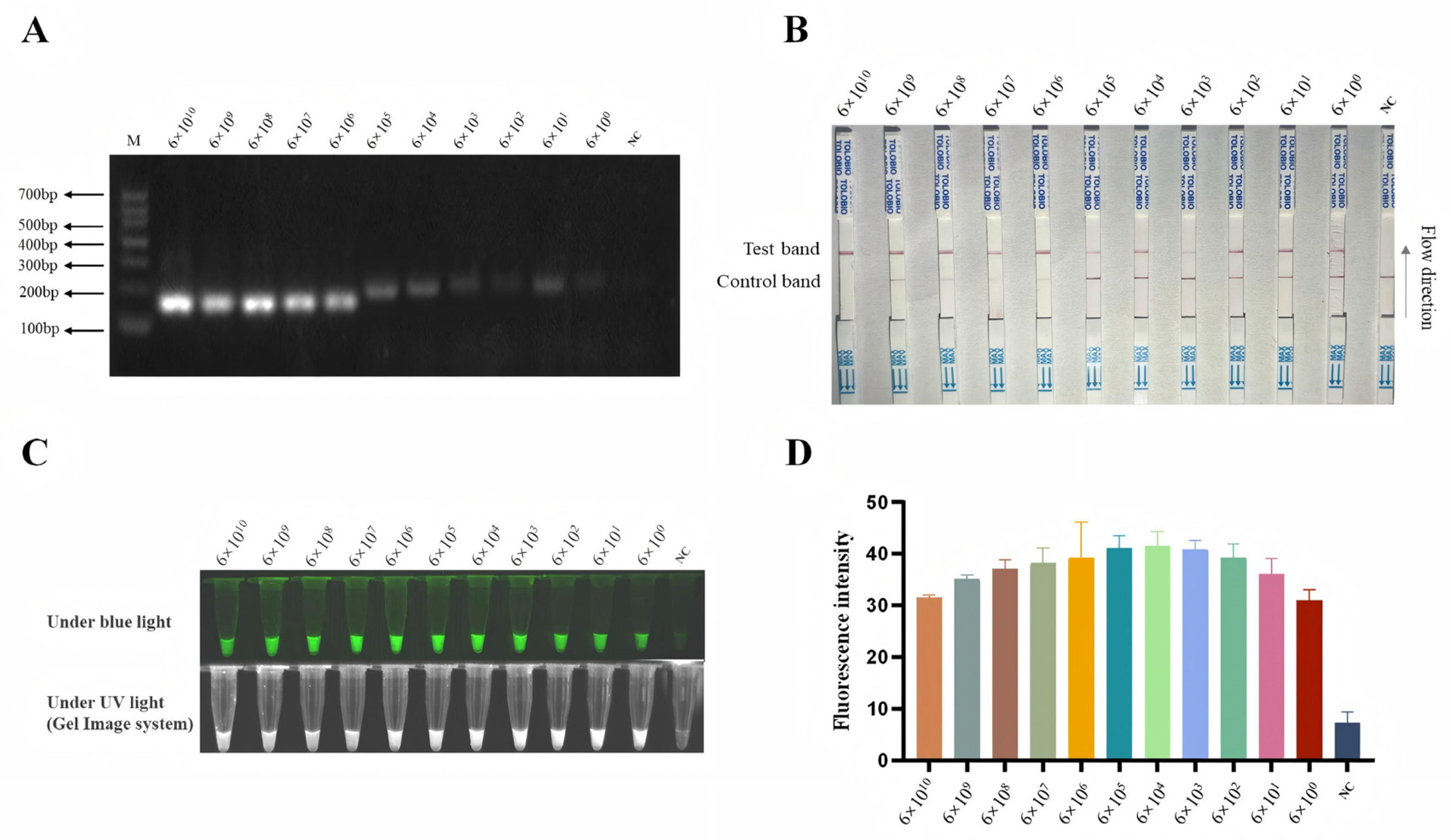 Animals 15 03274 g004
