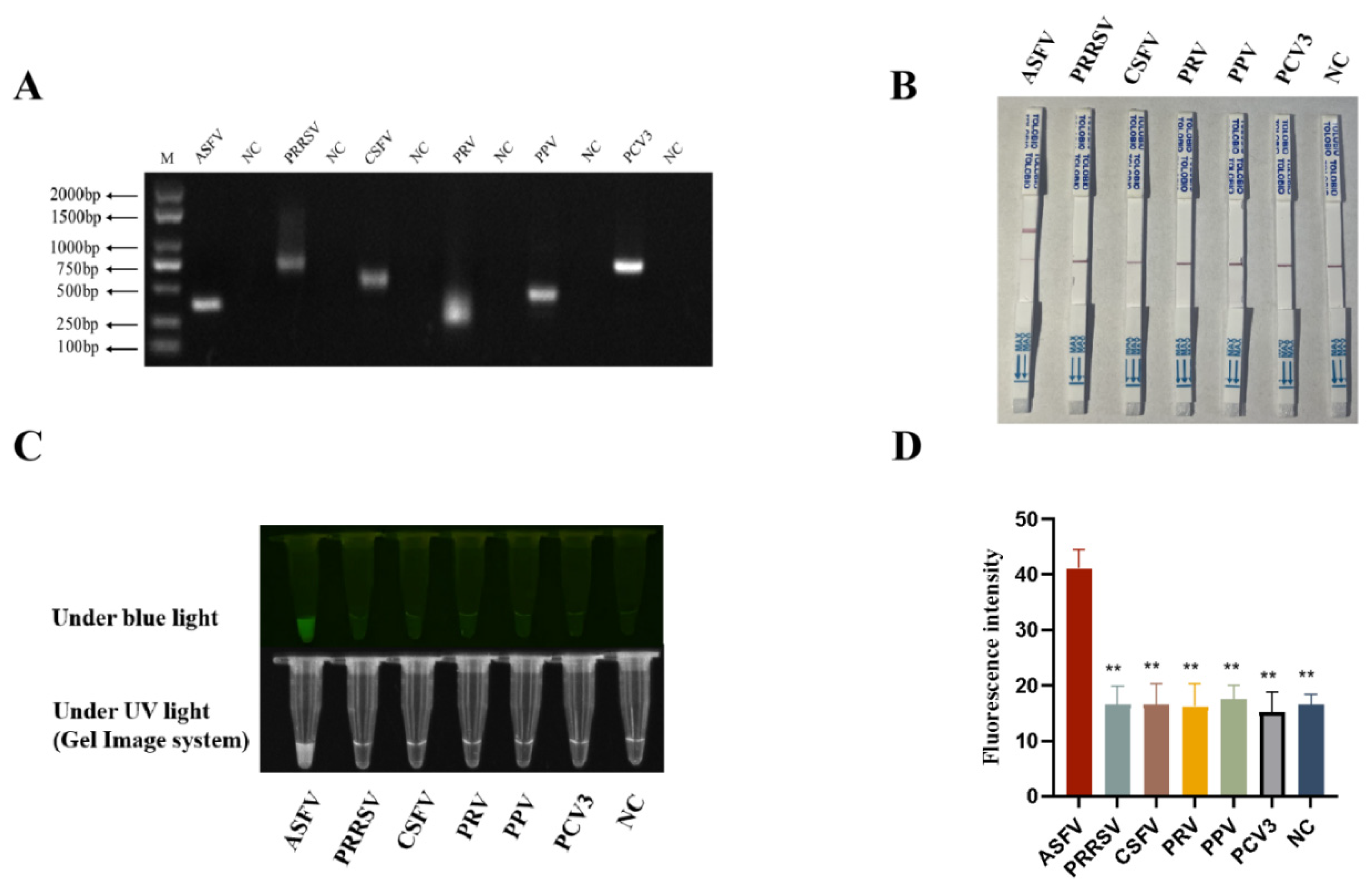 Animals 15 03274 g005