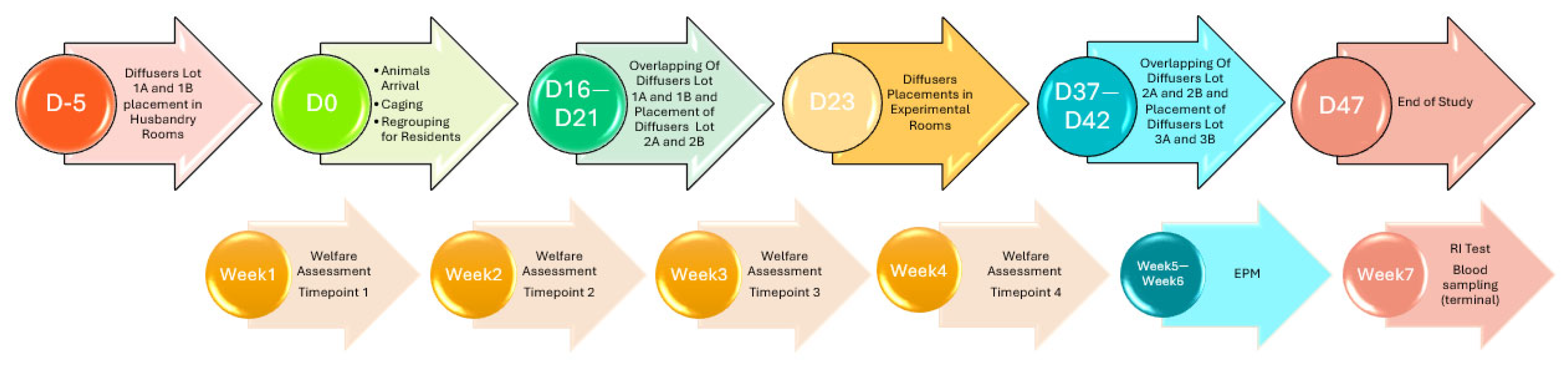 Animals 15 03278 g001