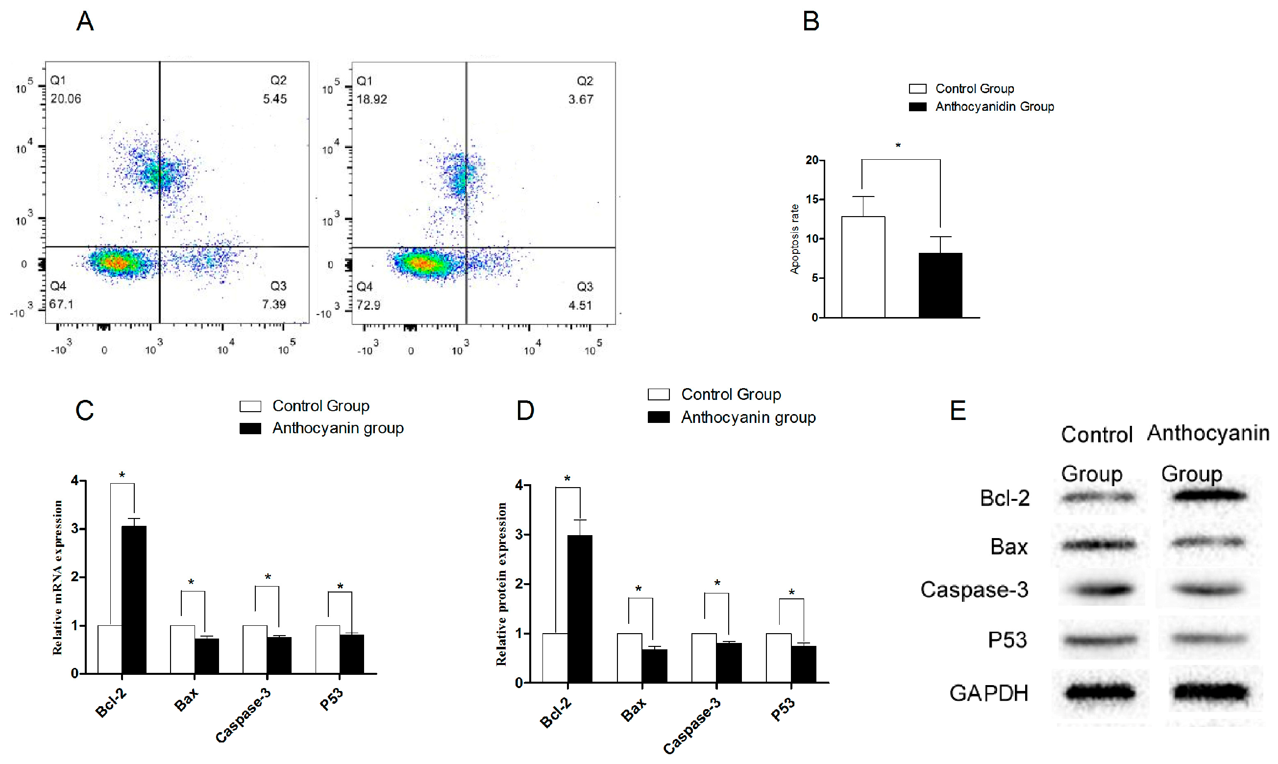 Animals 15 03281 g004