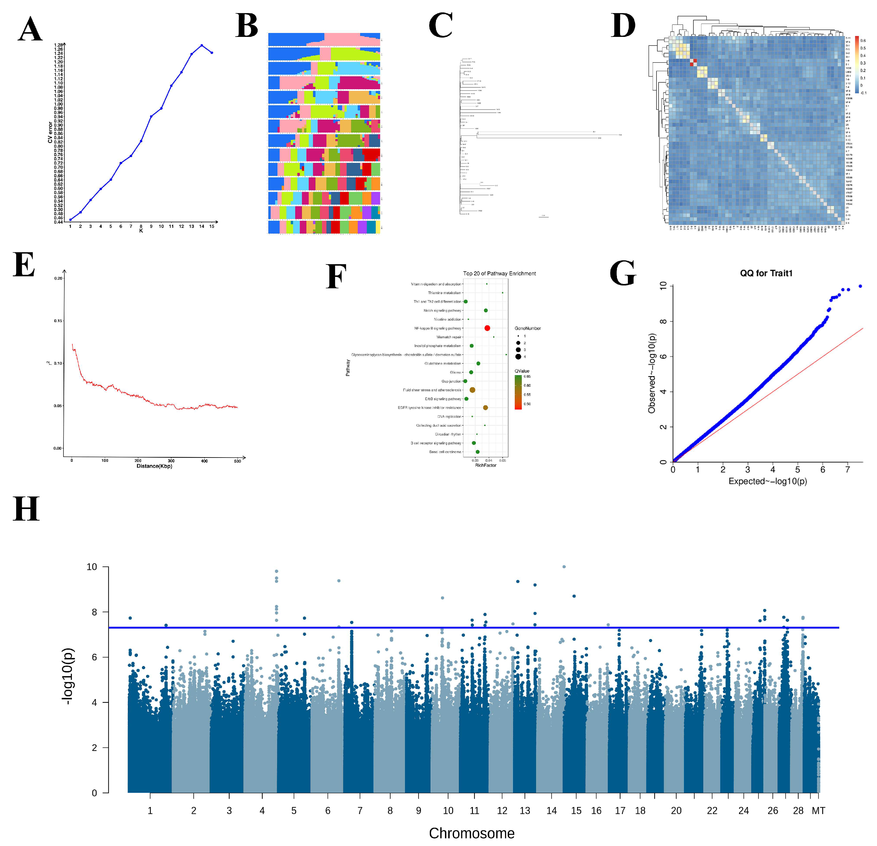 Animals 15 03282 g002