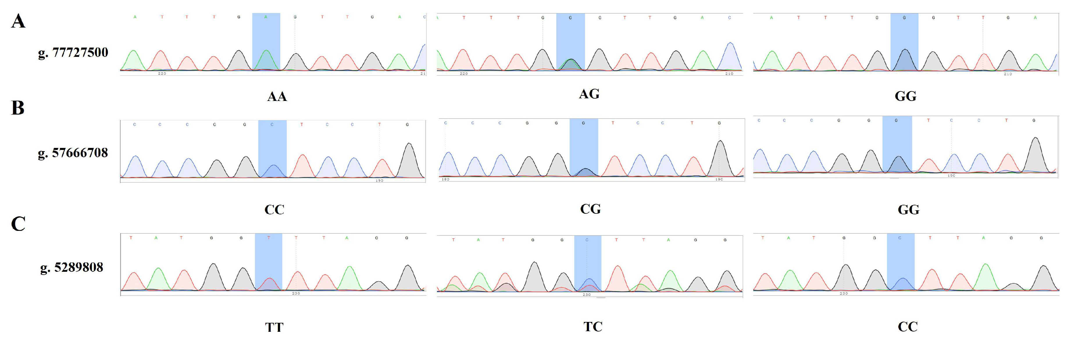 Animals 15 03282 g003