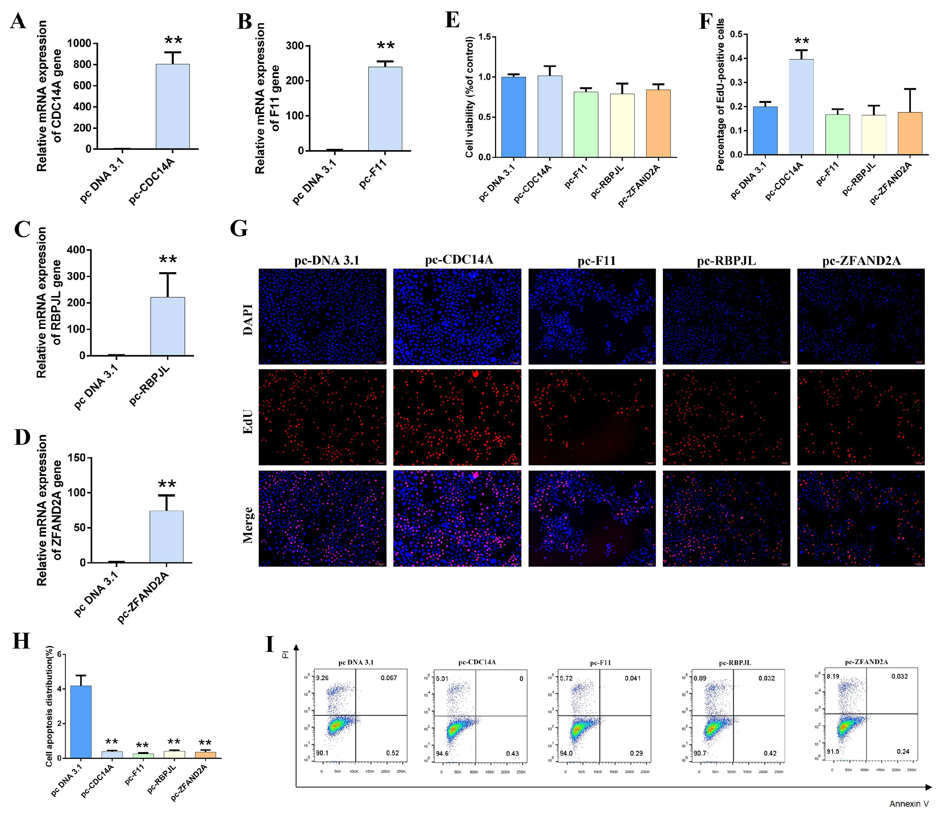 Animals 15 03282 g004