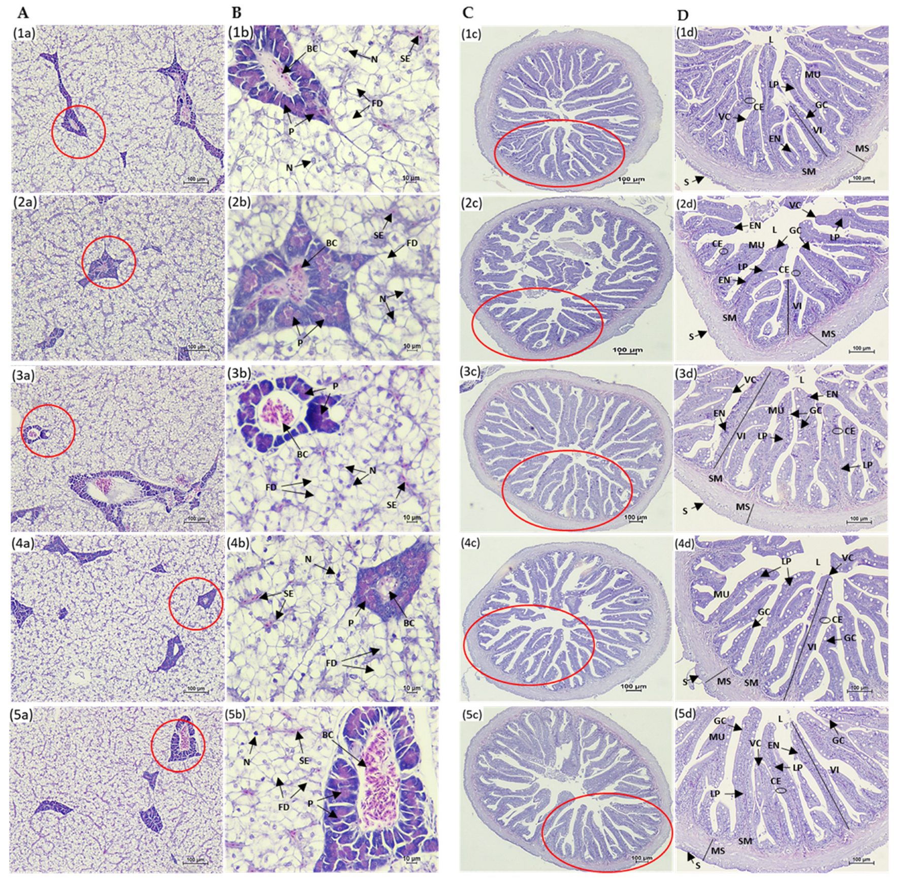 Animals 15 03285 g002