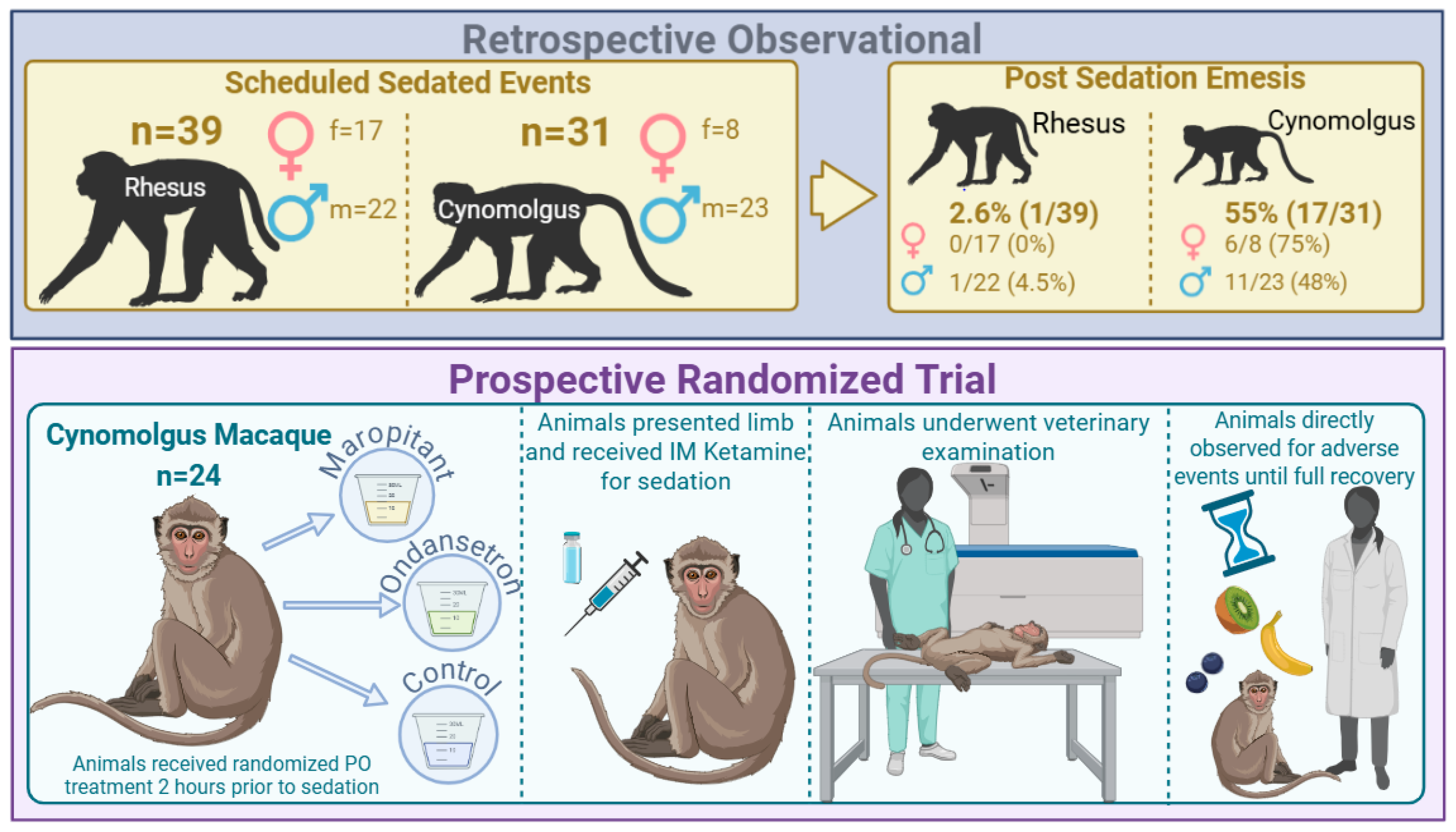 Animals 15 03292 g001 Animals 15 03292 g001