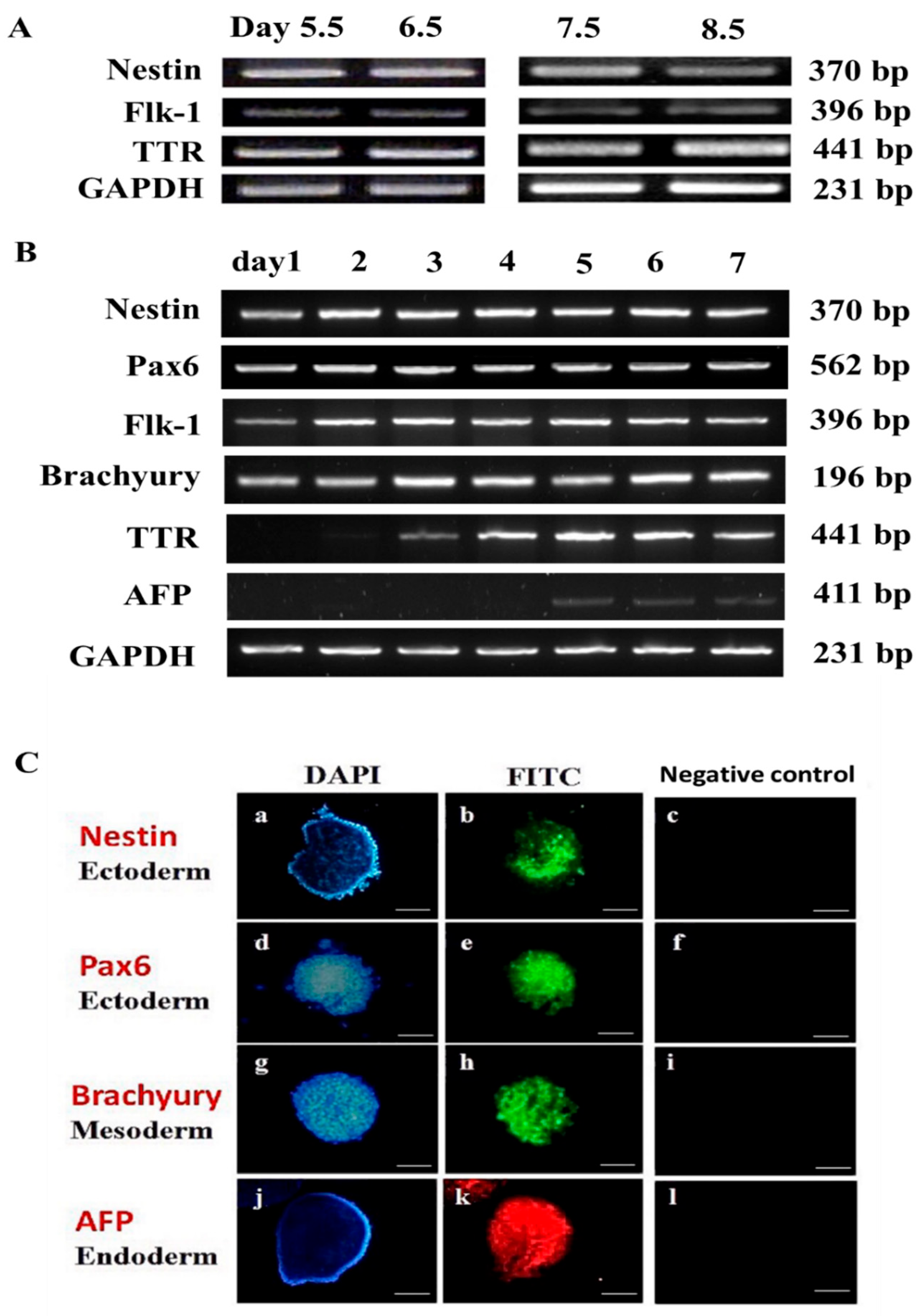 Animals 15 03293 g002 Animals 15 03293 g002