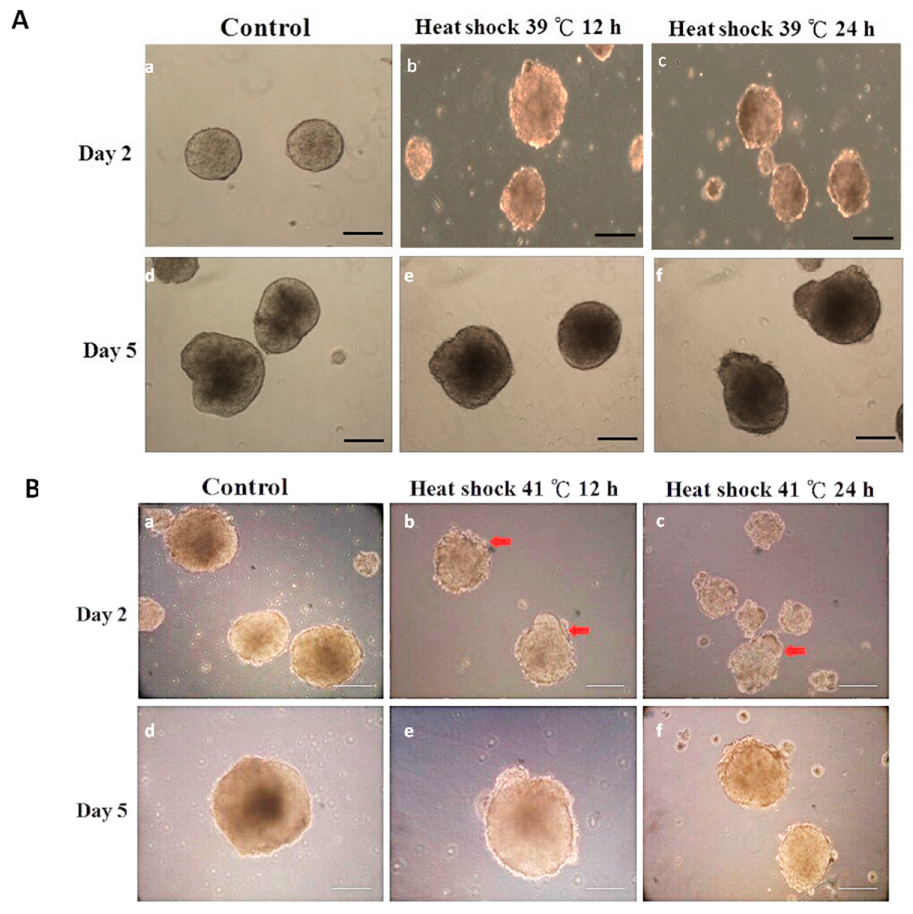 Animals 15 03293 g003 Animals 15 03293 g003
