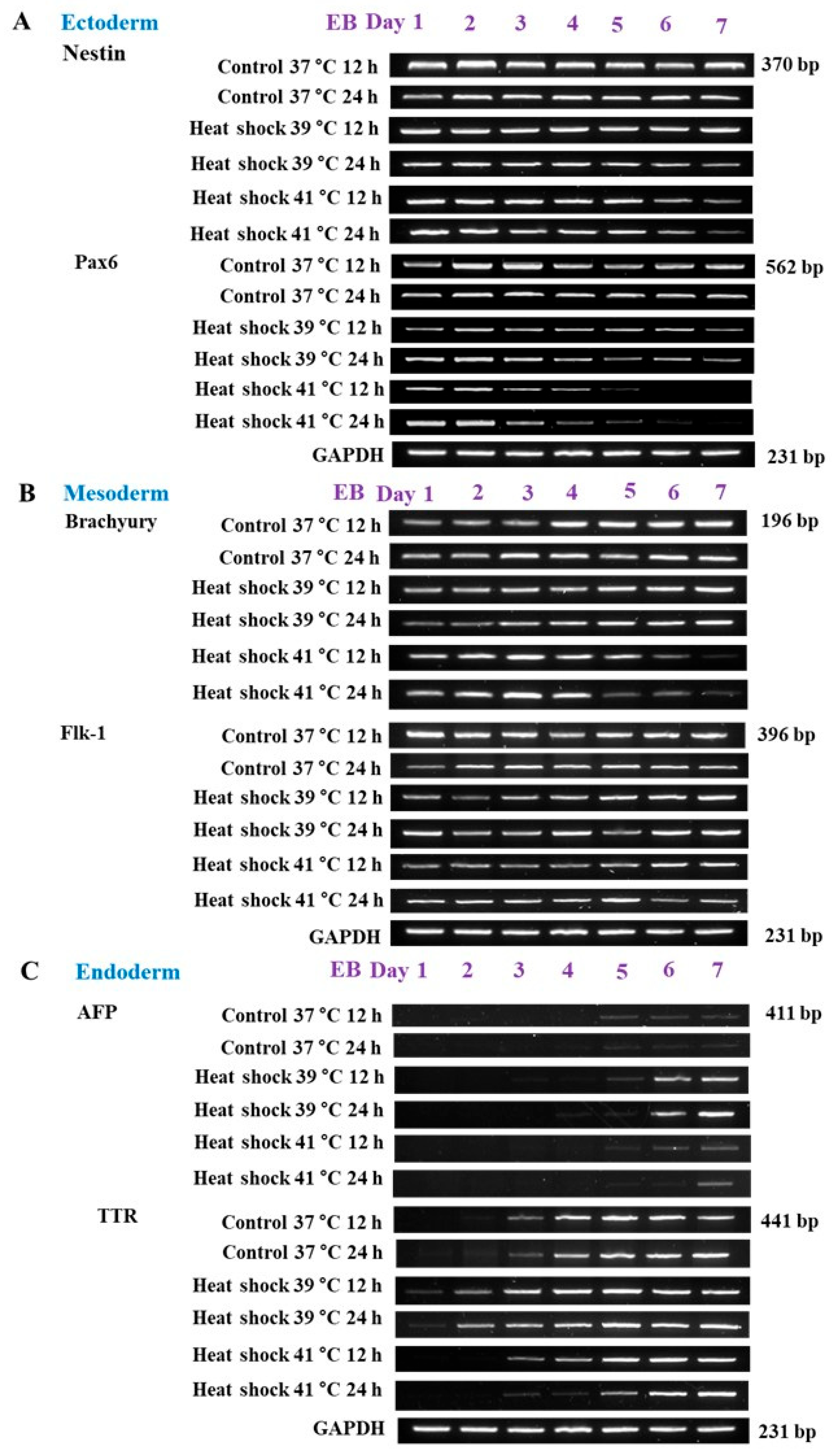 Animals 15 03293 g005 Animals 15 03293 g005