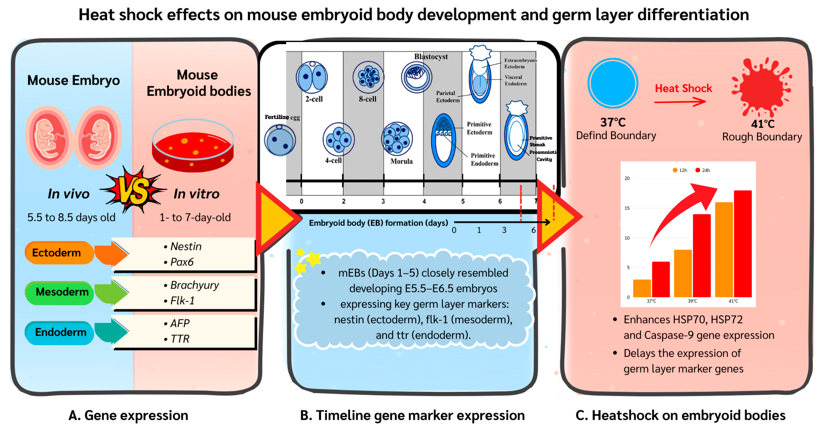 Animals 15 03293 g008 Animals 15 03293 g008
