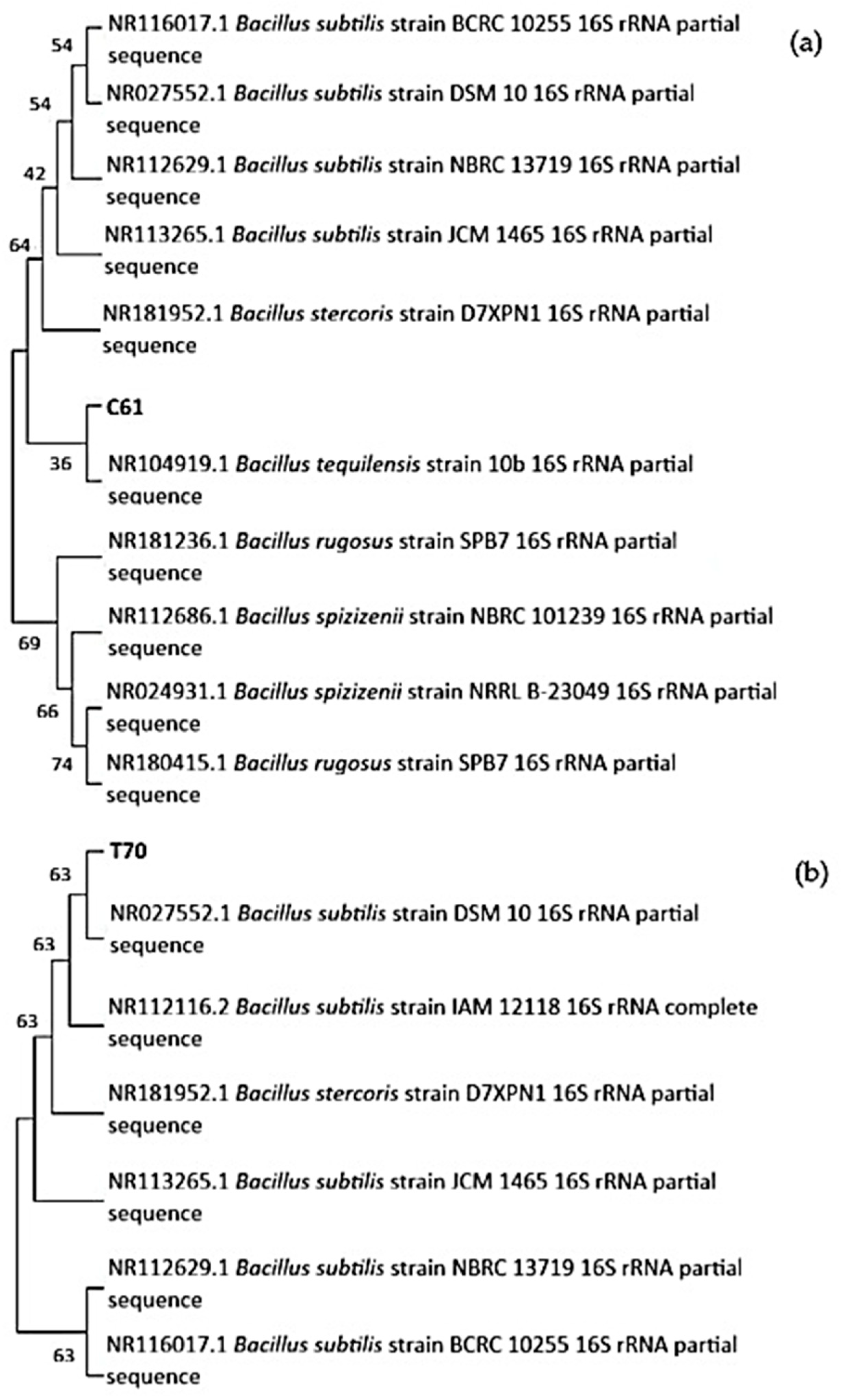 Animals 15 03296 g001 Animals 15 03296 g001