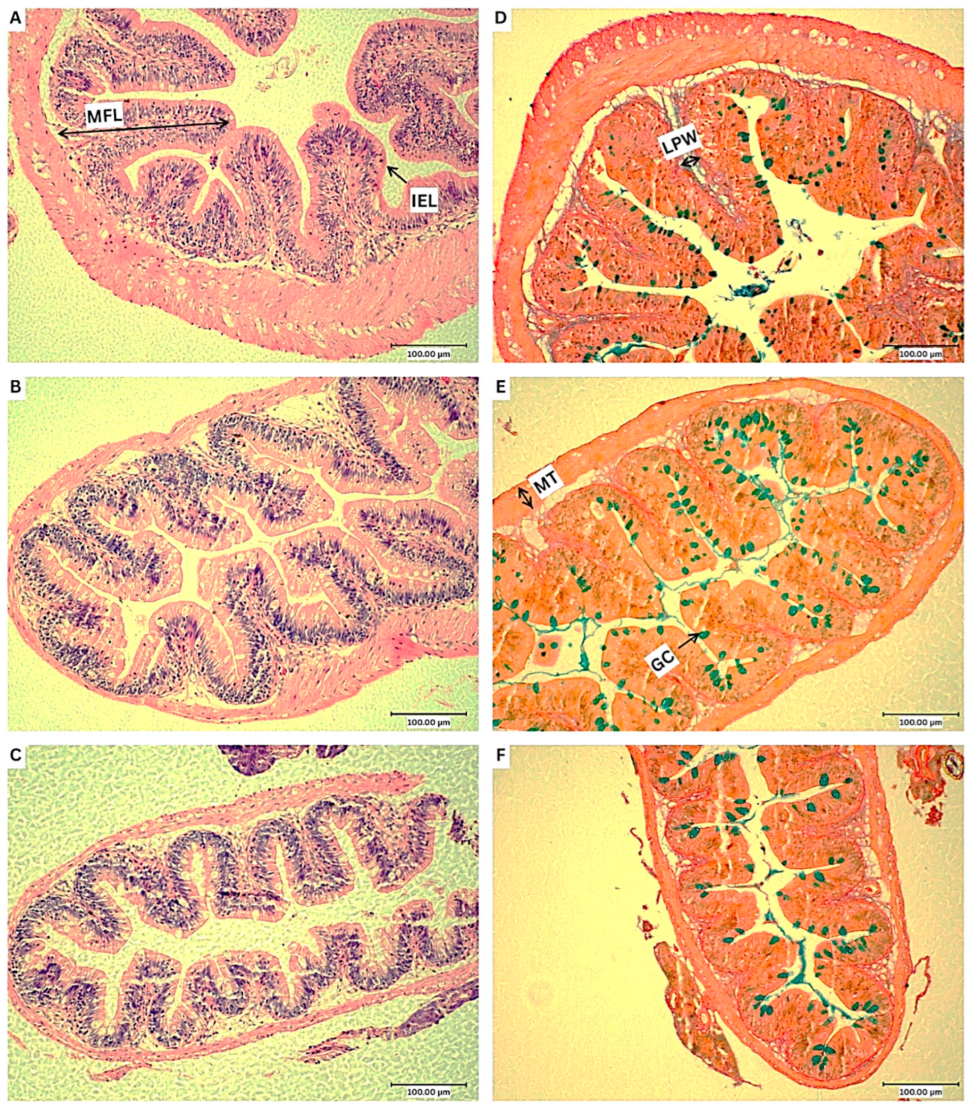 Animals 15 03296 g003 Animals 15 03296 g003