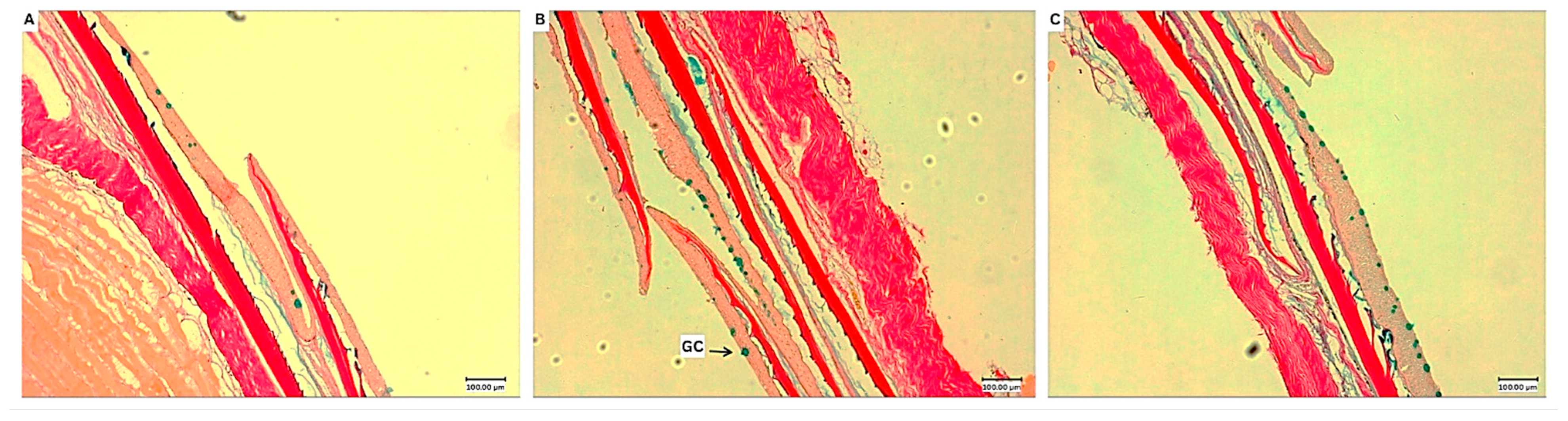 Animals 15 03296 g005 Animals 15 03296 g005