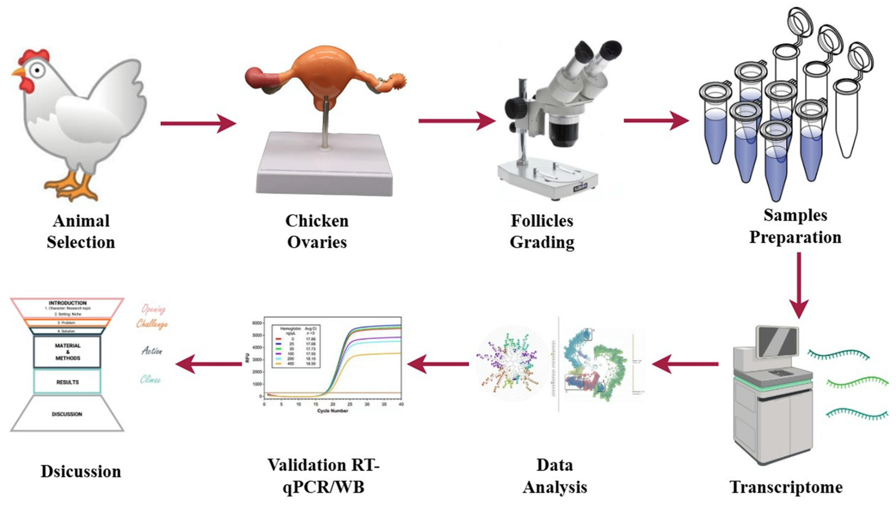 Animals 15 03300 g001 Animals 15 03300 g001