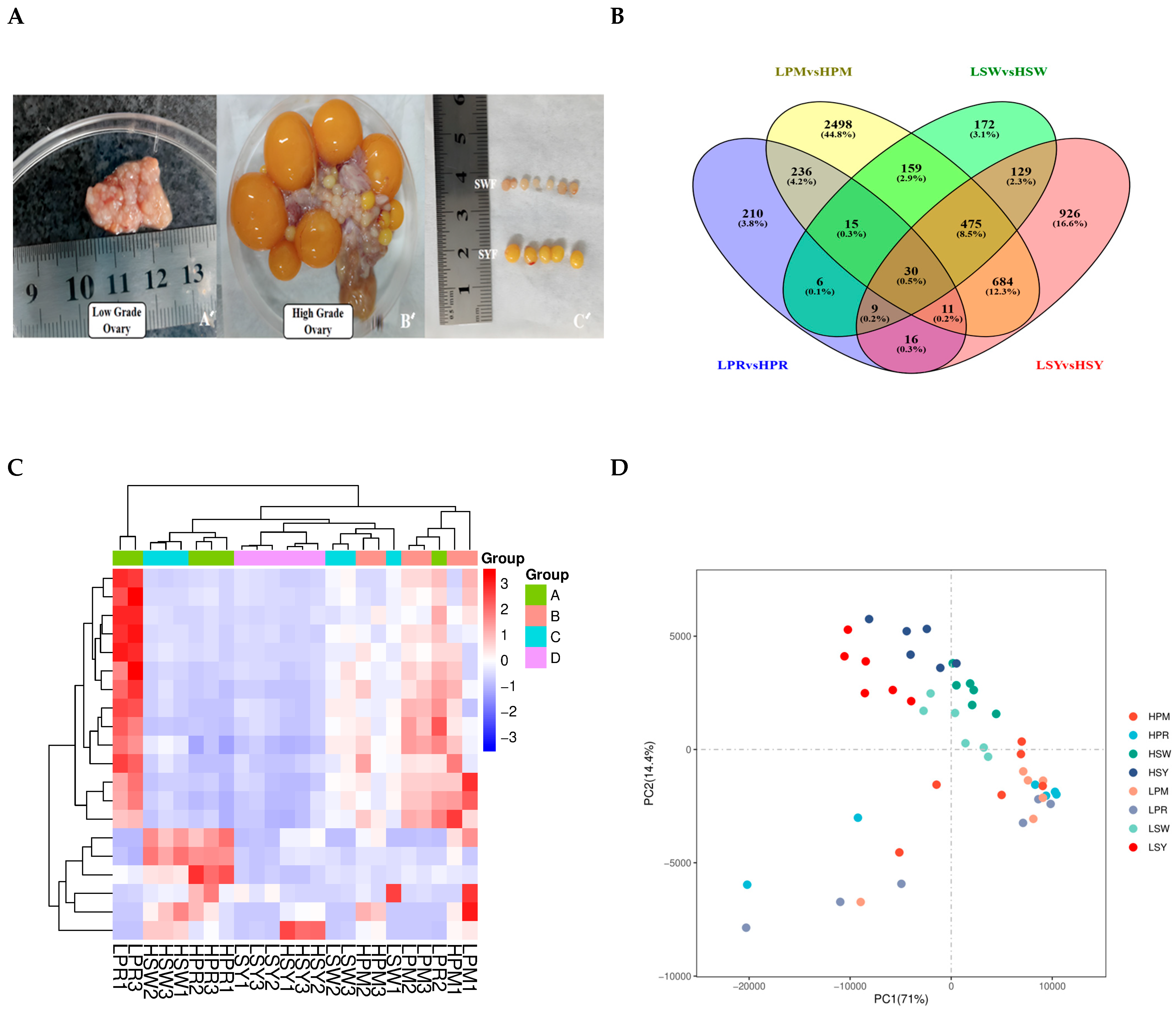 Animals 15 03300 g002 Animals 15 03300 g002