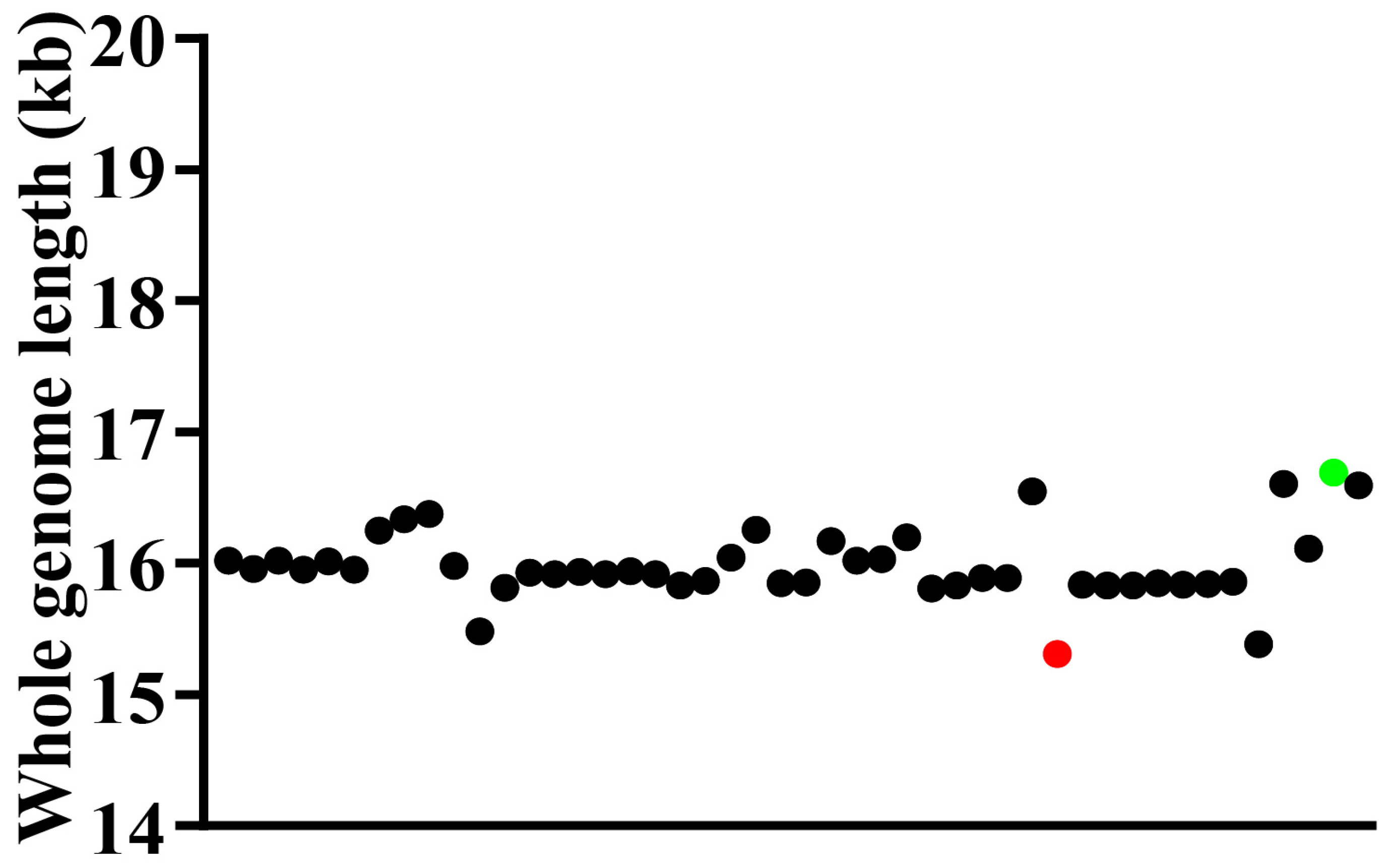 Animals 15 03301 g002 Animals 15 03301 g002