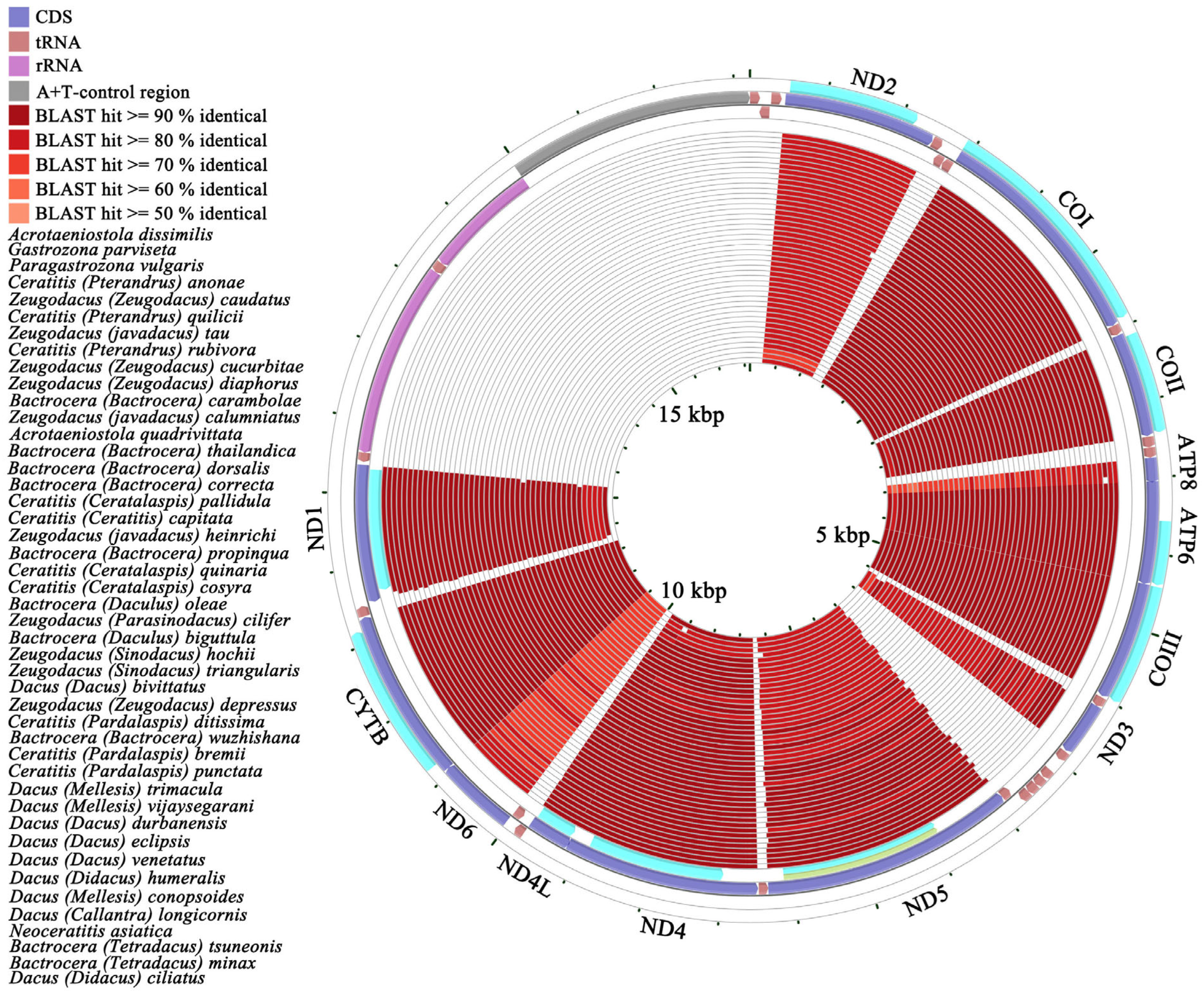 Animals 15 03301 g005 Animals 15 03301 g005