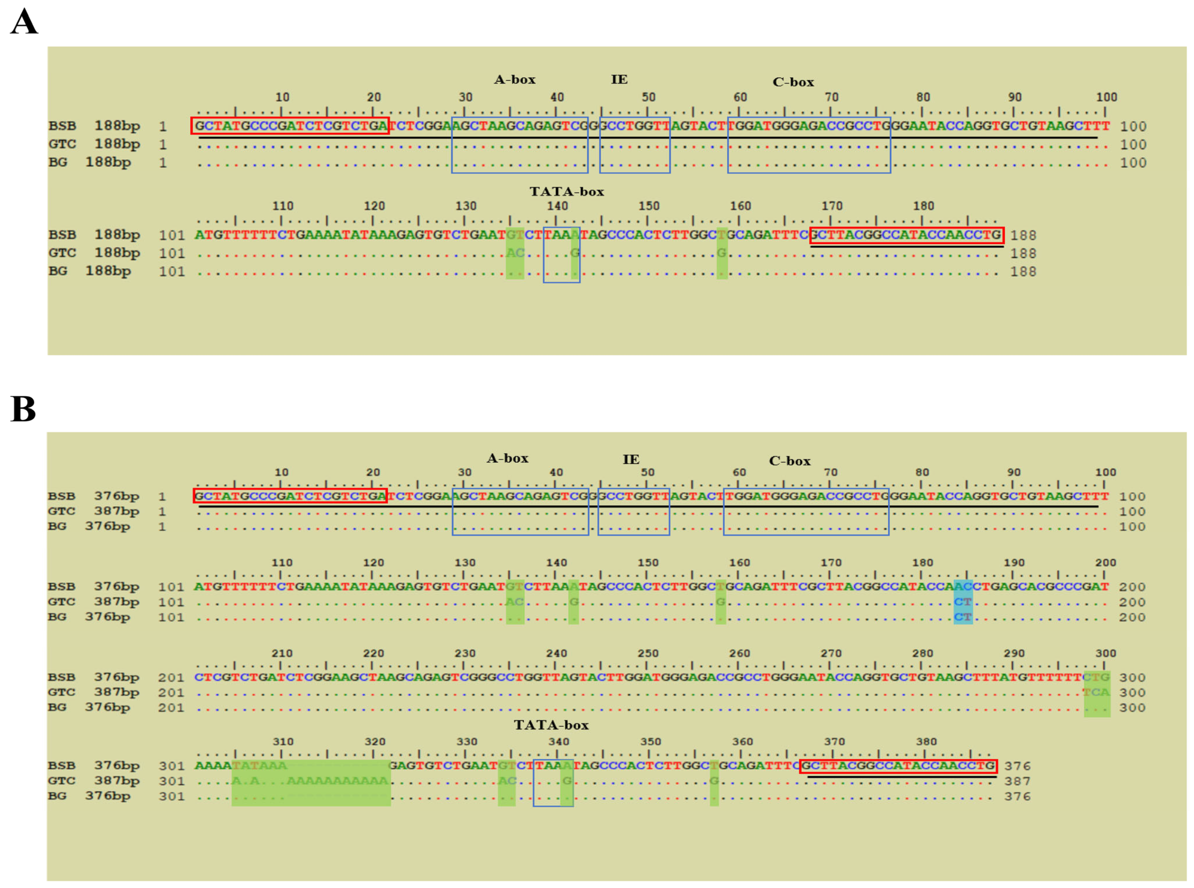 Animals 15 03302 g005 Animals 15 03302 g005